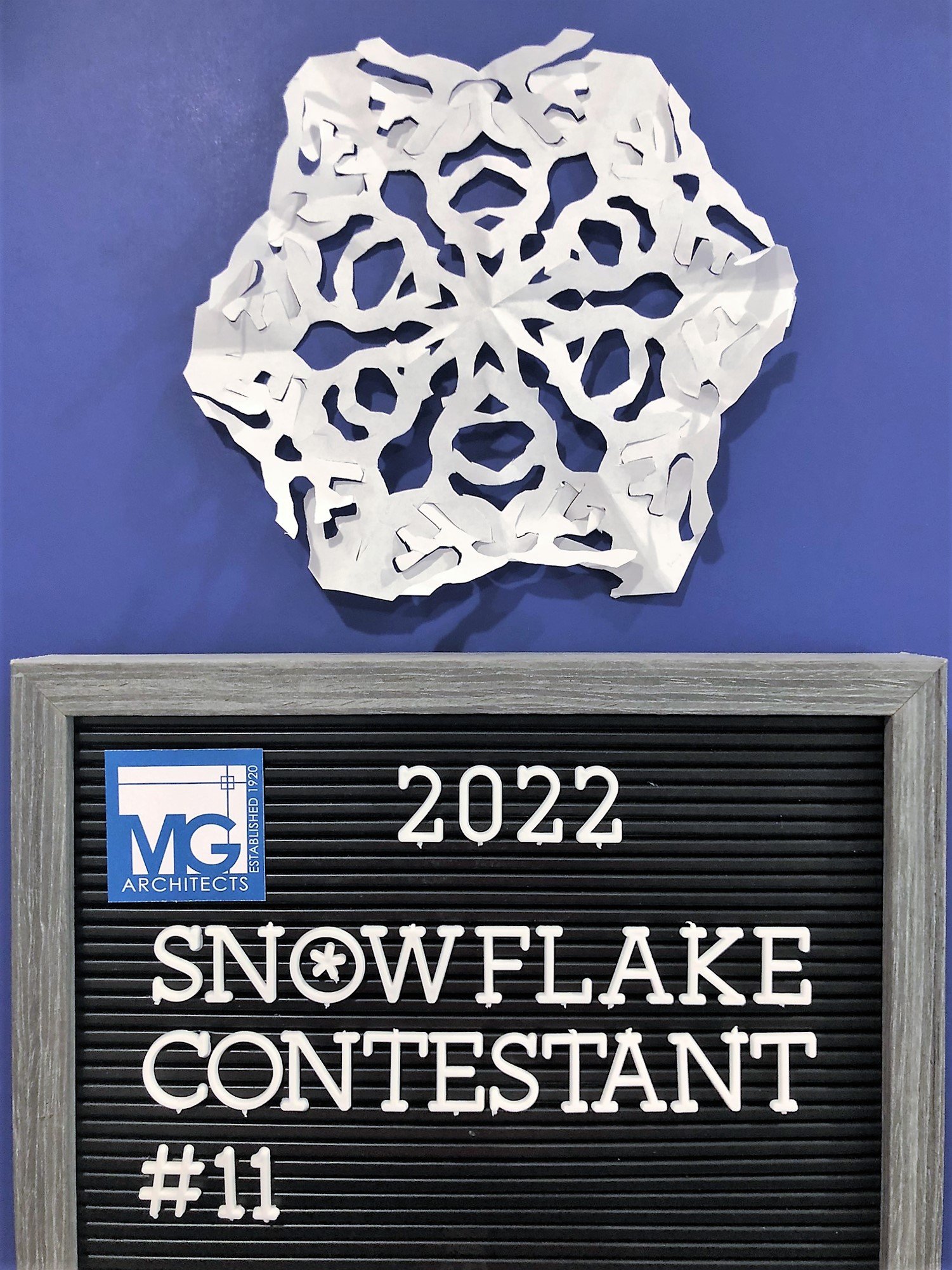 2022-Snowflake-11.jpeg