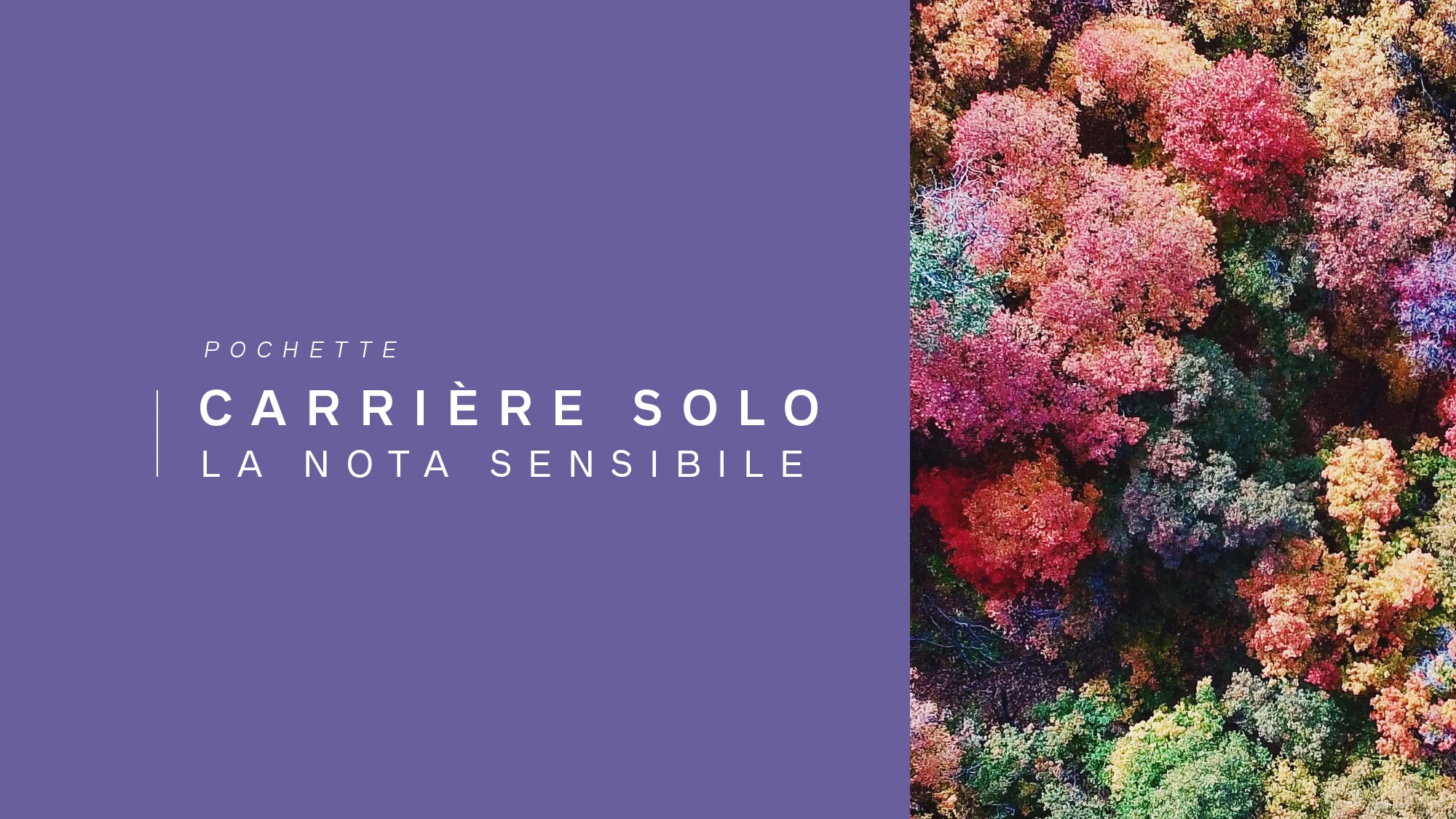carrièresolo.jpg