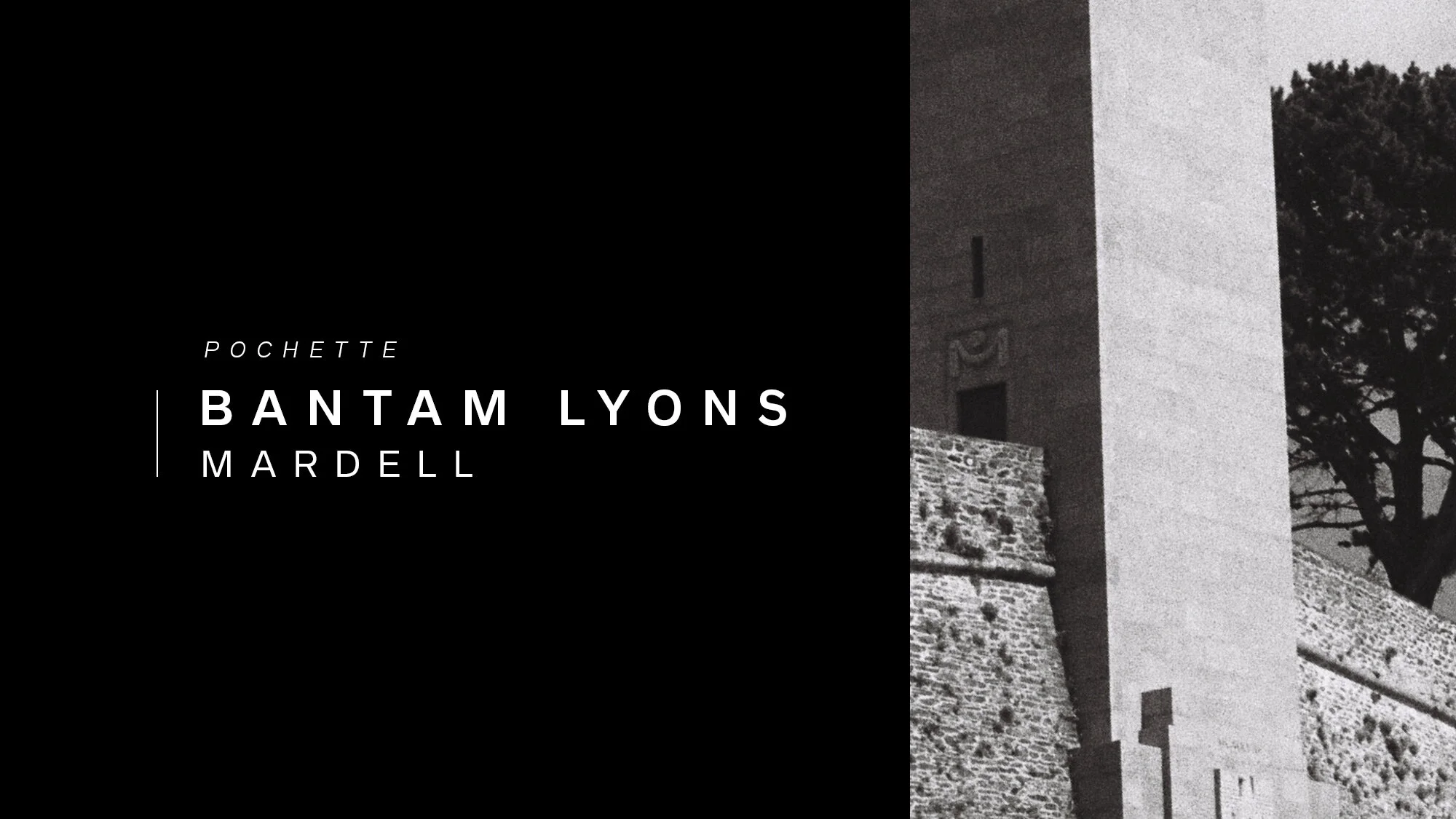 BANTAM LYONS.jpg