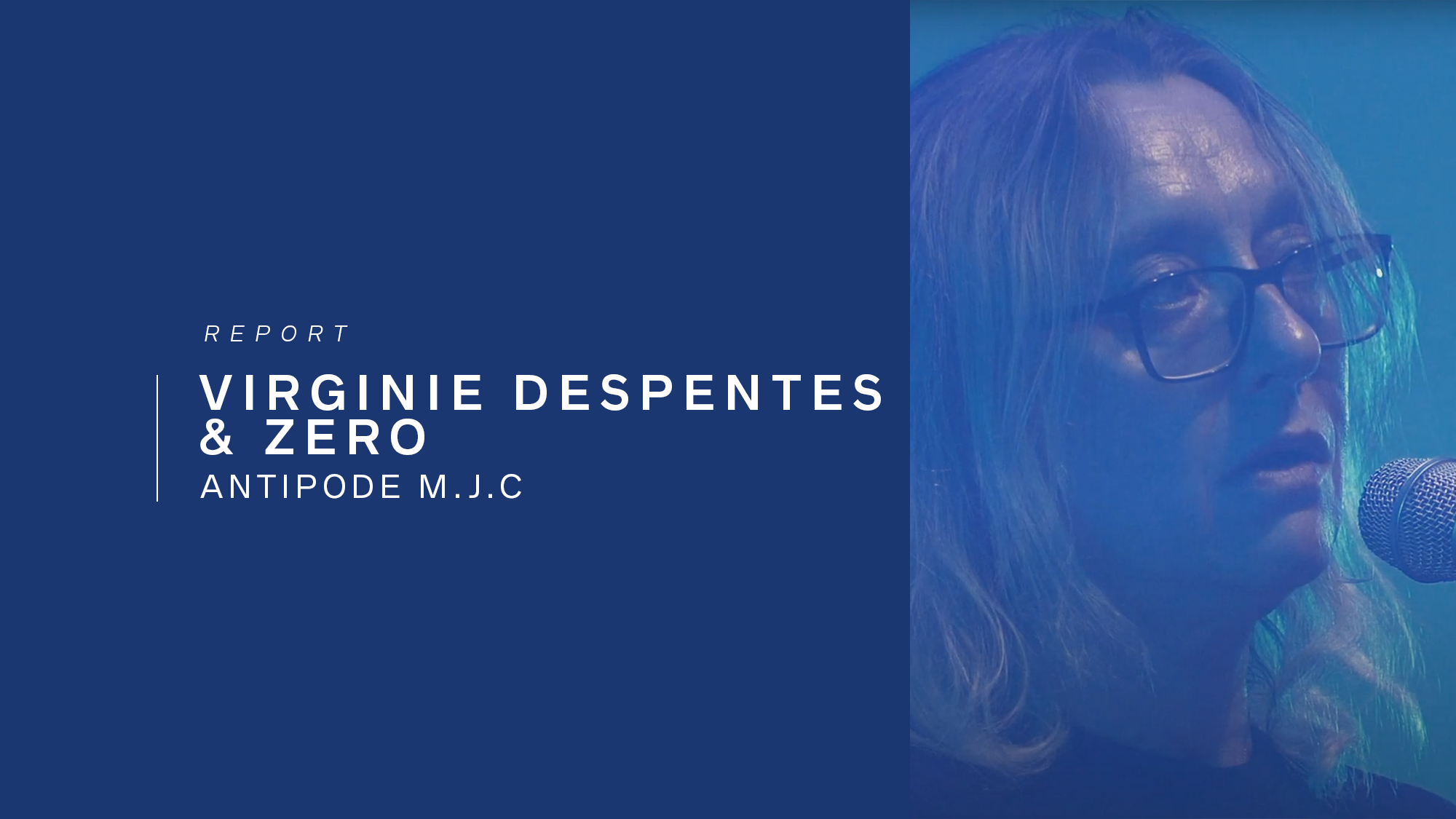 despentes.png