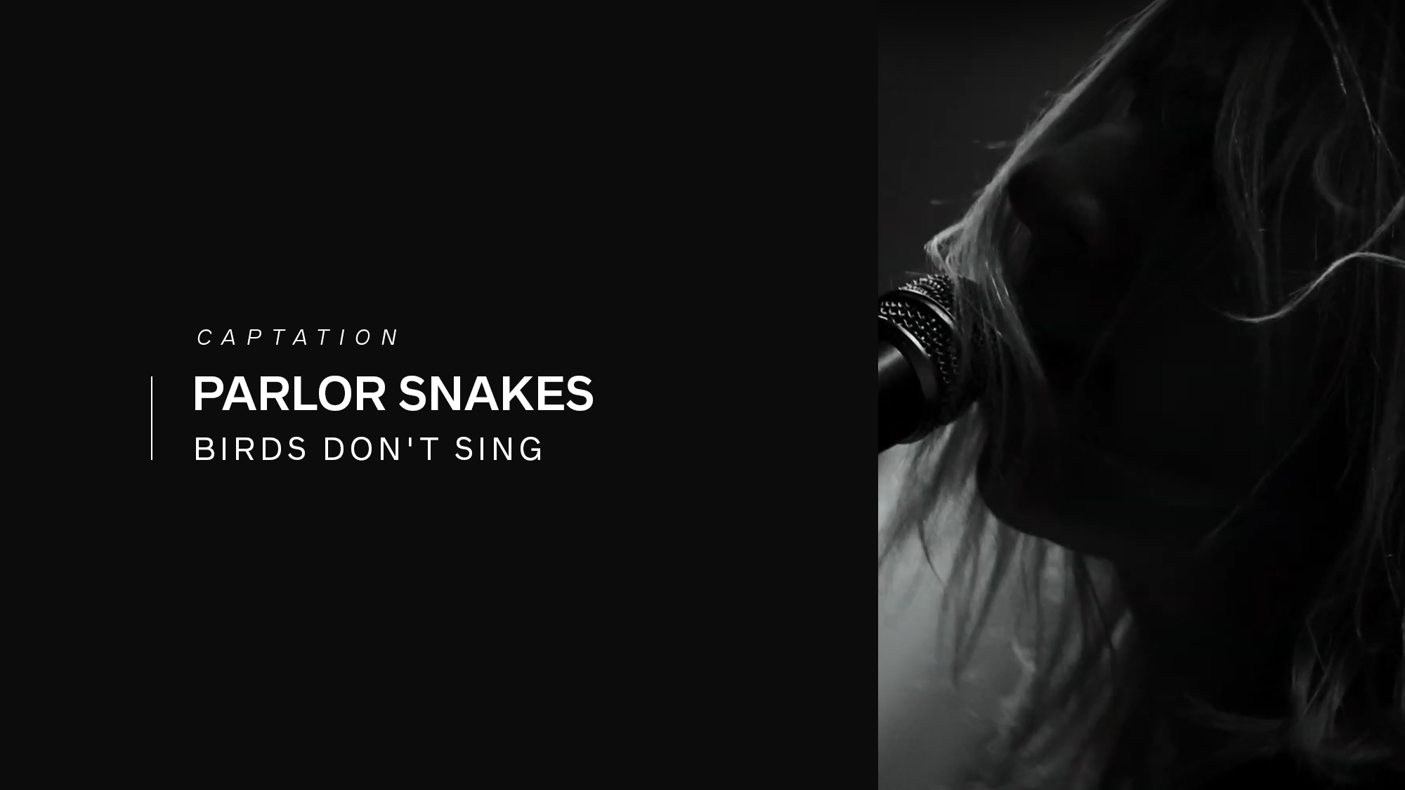 SNAKES.png