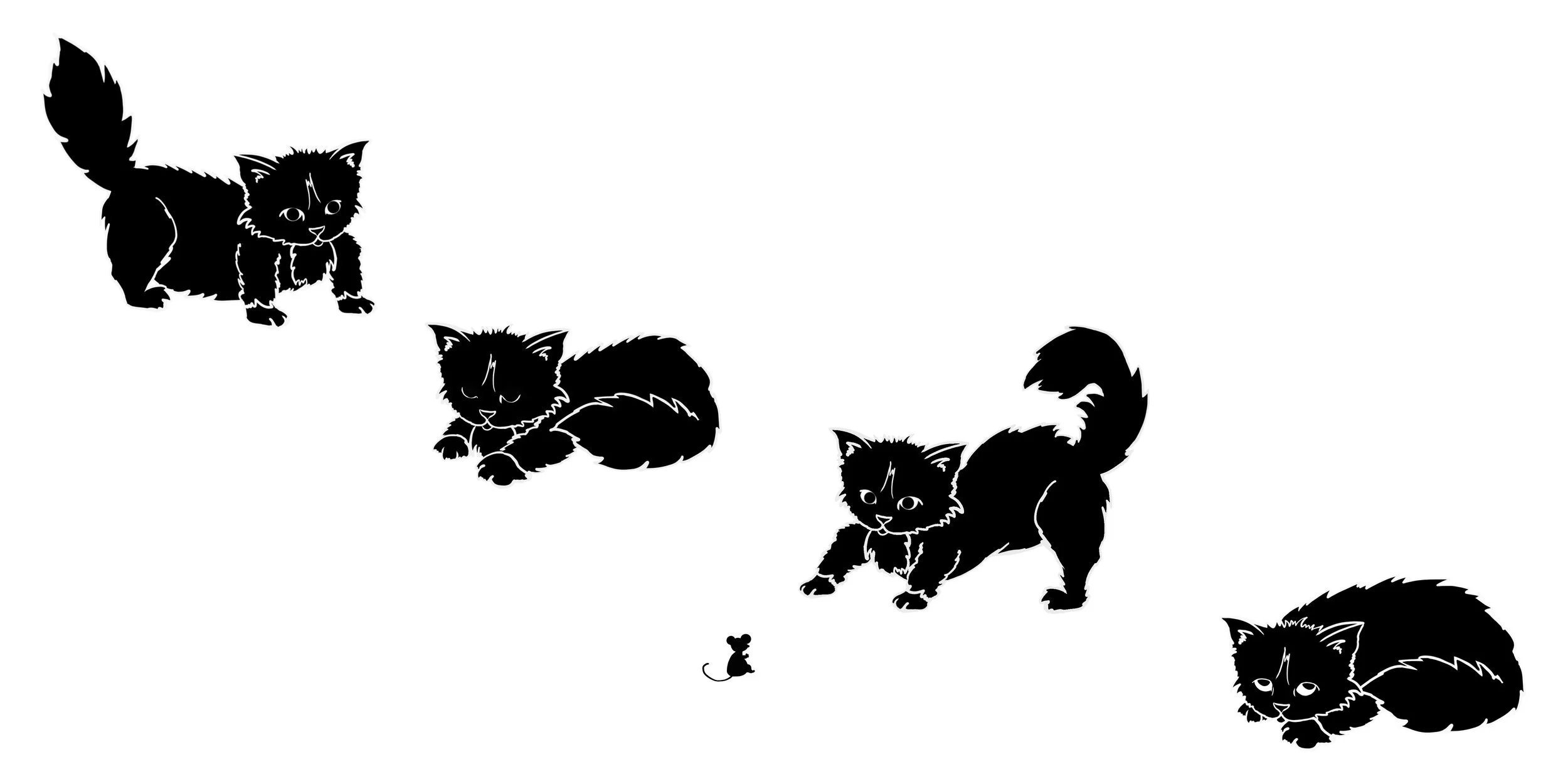 cat.jpg