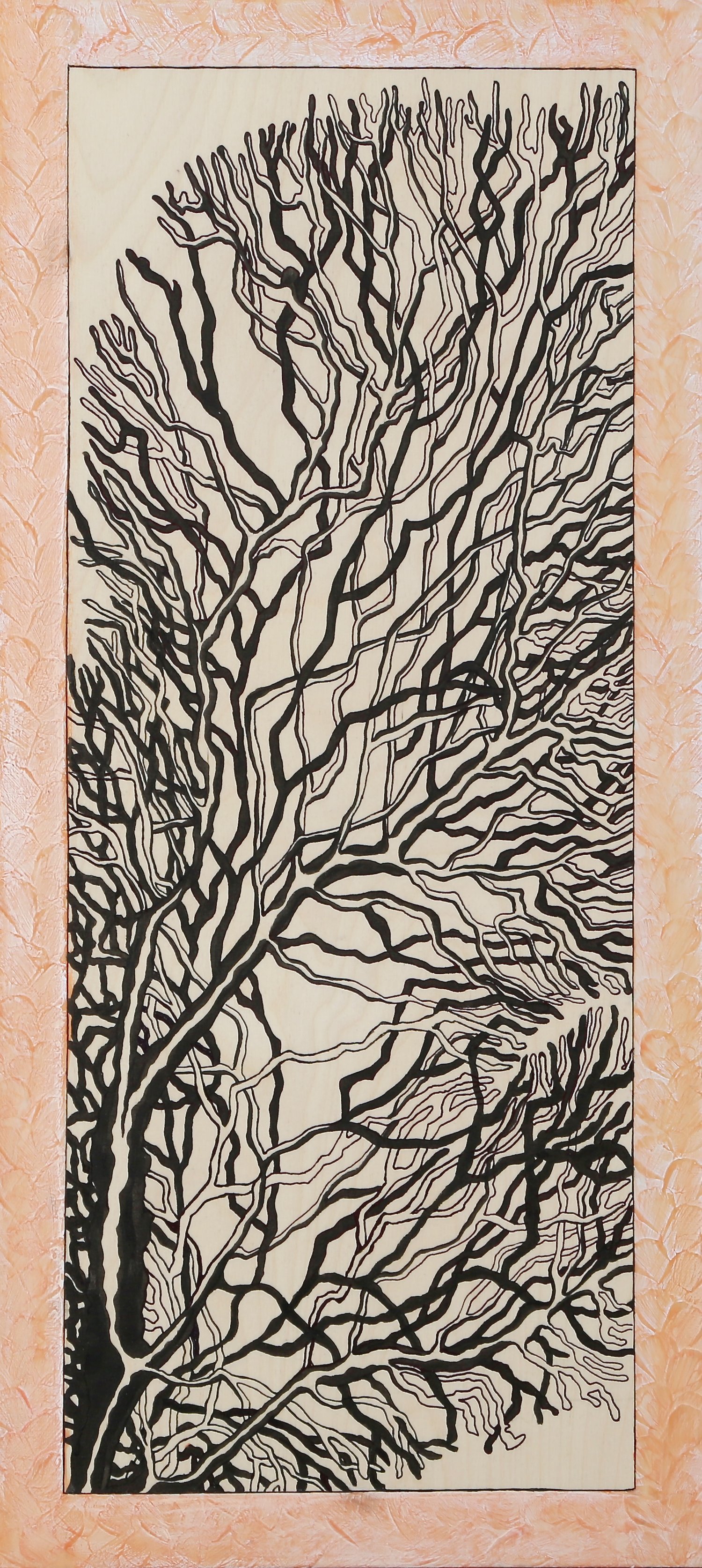 Coral