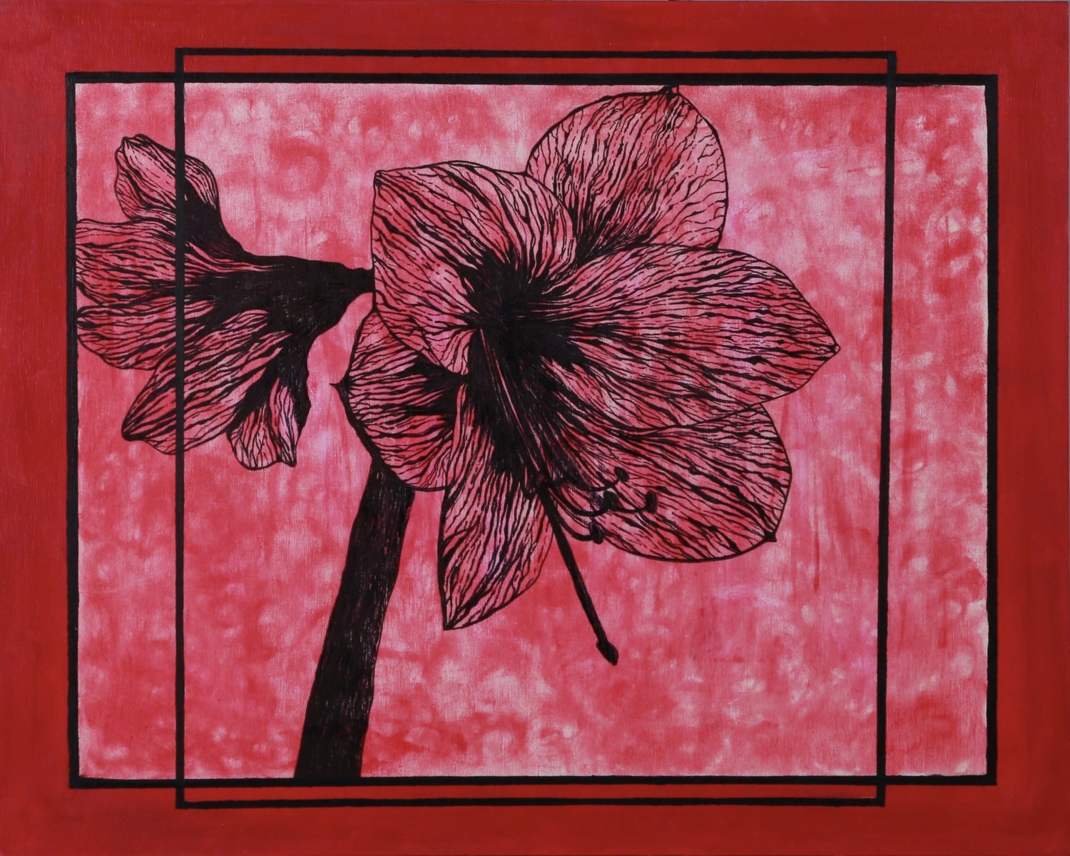 Amaryllis Flower