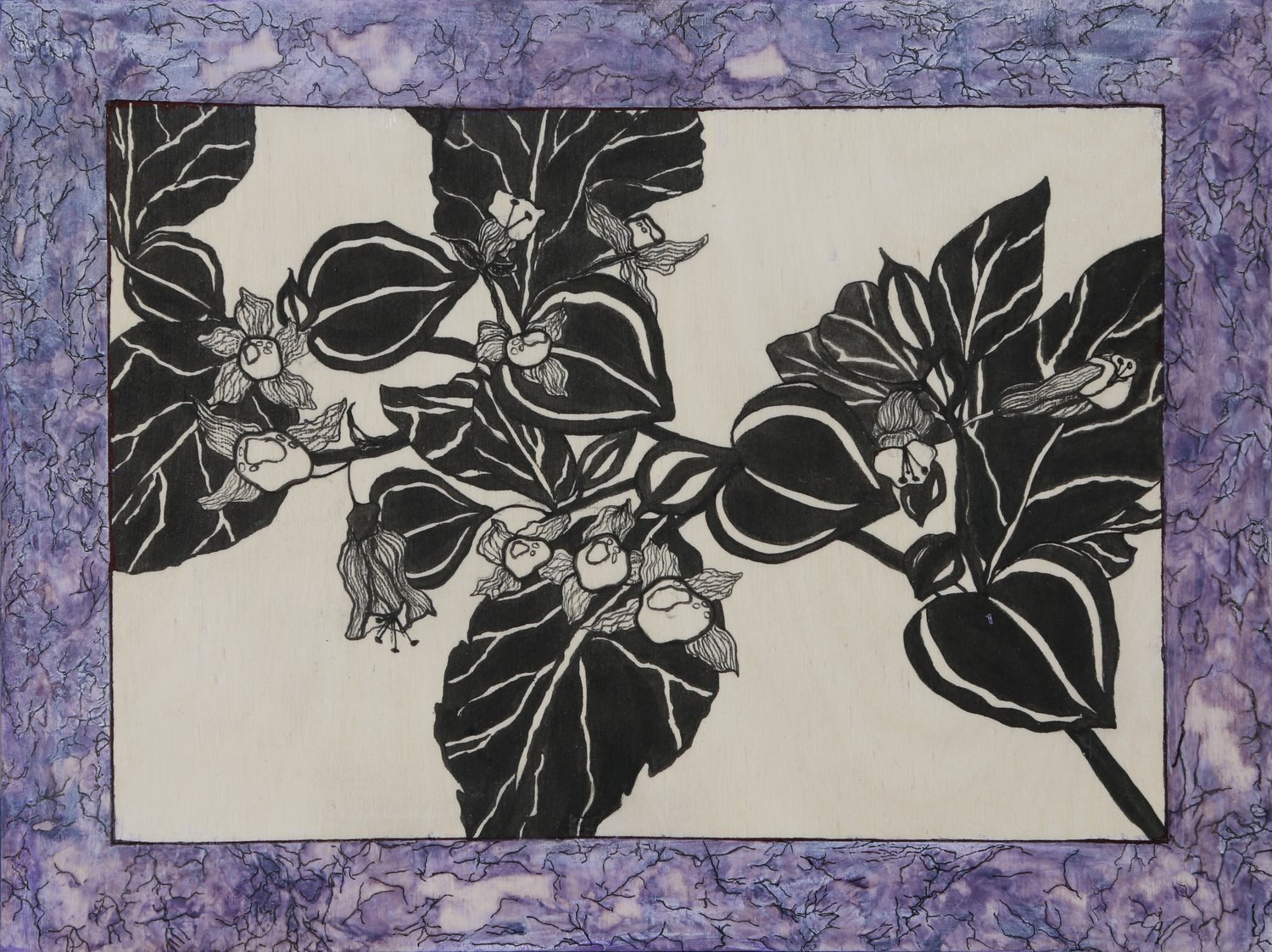 Bella Donna Plant - SOLD