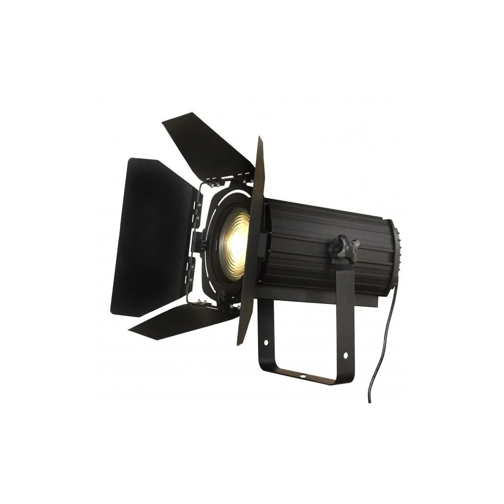 bt-theatre-100-watt-led-fresnell-teater-lampe-100ec-mk2.jpg