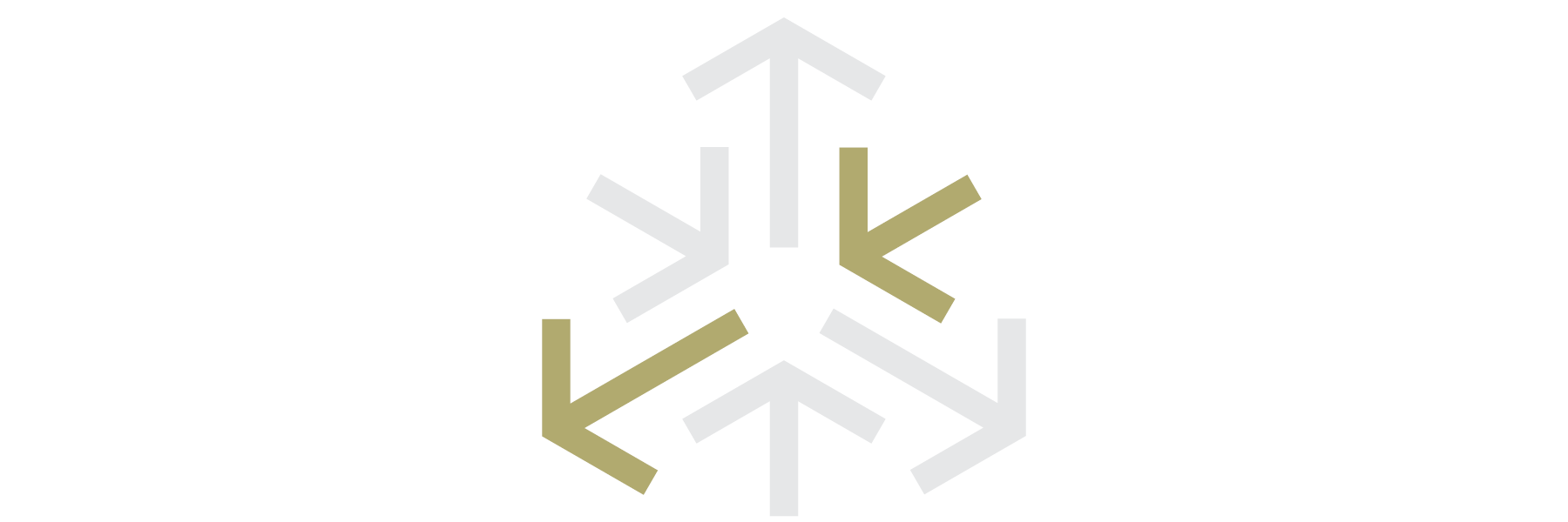 DiscipleMaker_Icon_Church_Wide.png