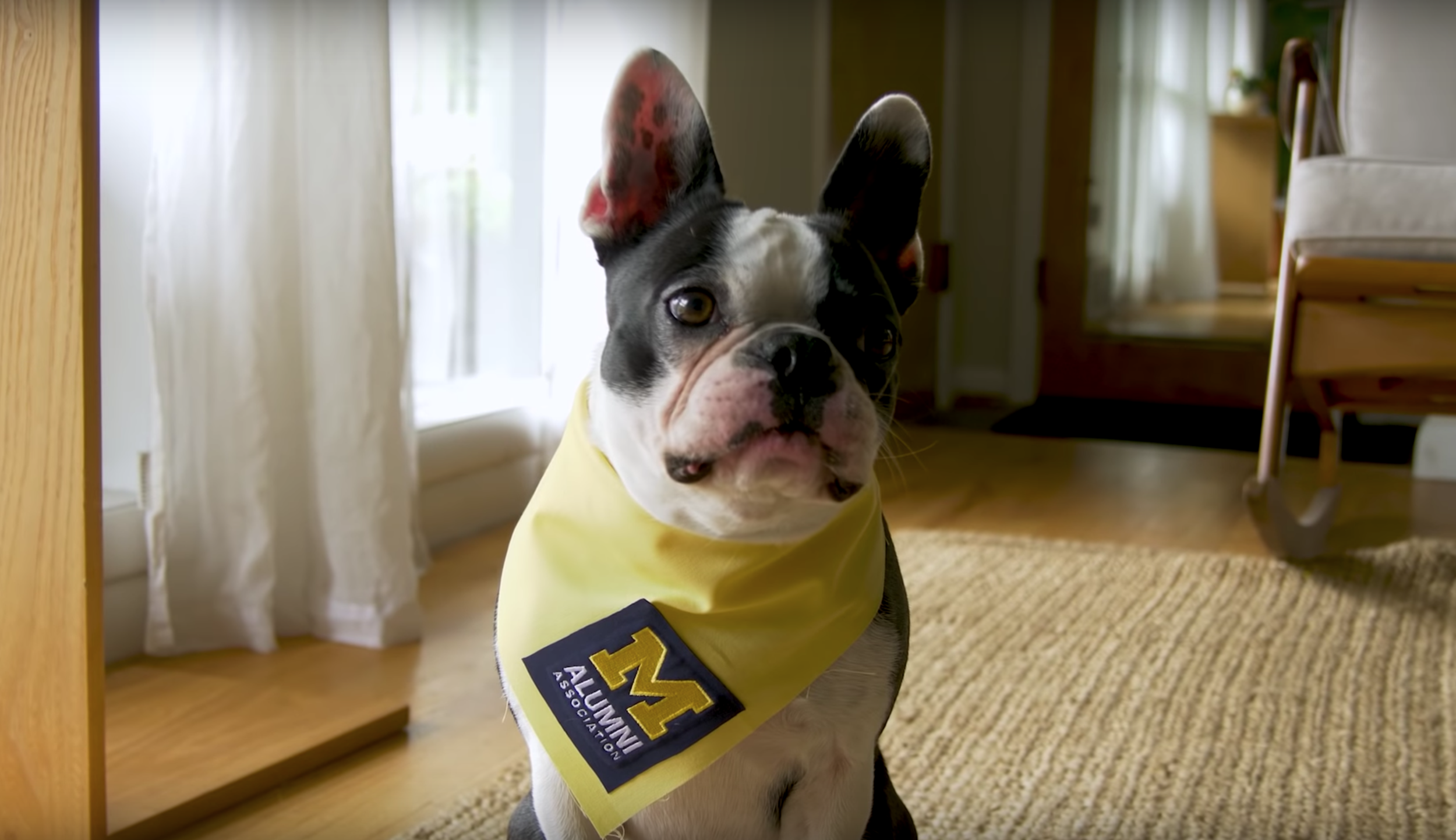 A Fresh Look at the Alumni Association