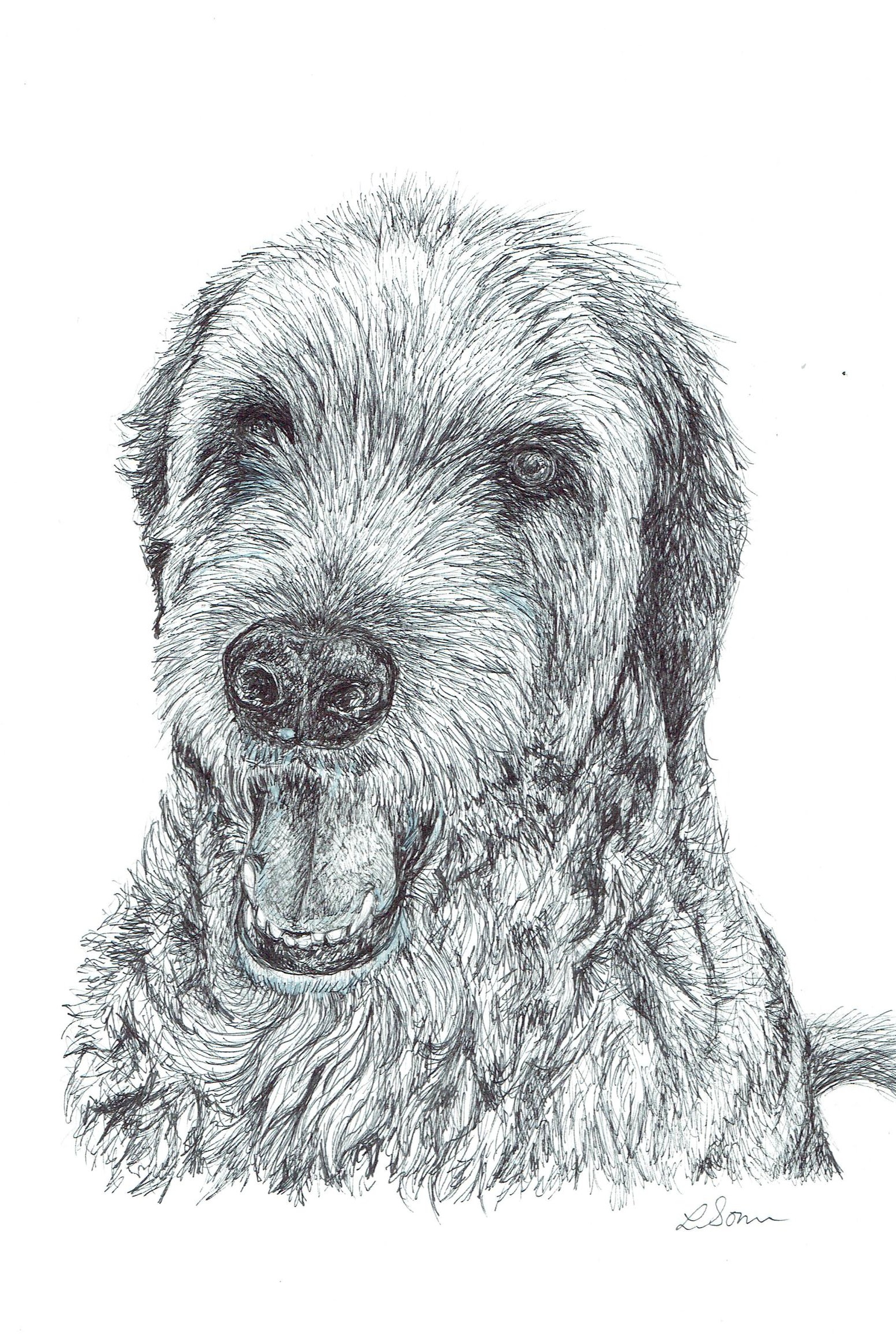 Dog Drawing in black pen (commission)