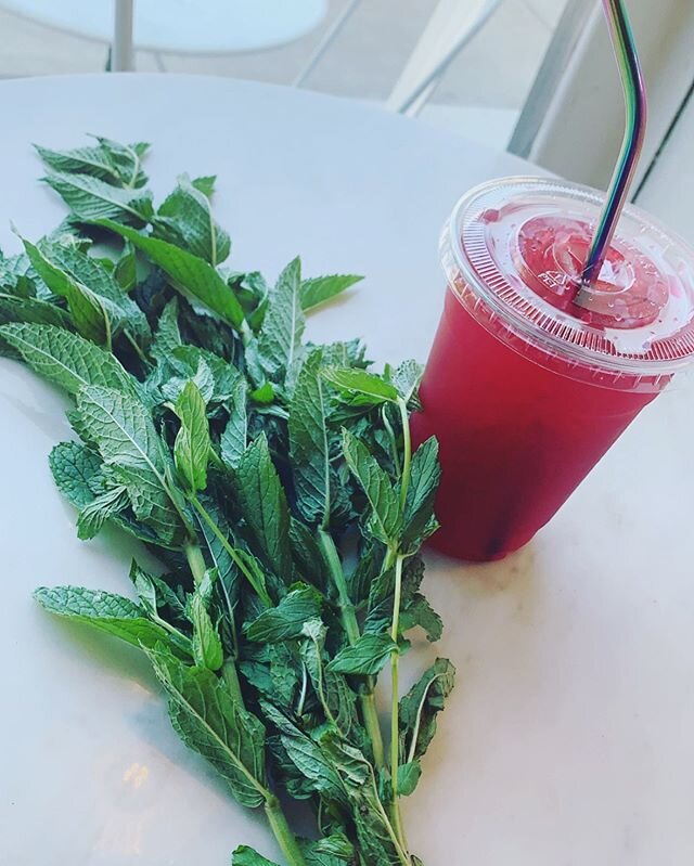 Fresh Mint from @fredoniafarm2table for our Blueberry Mint Lemonade 🍋