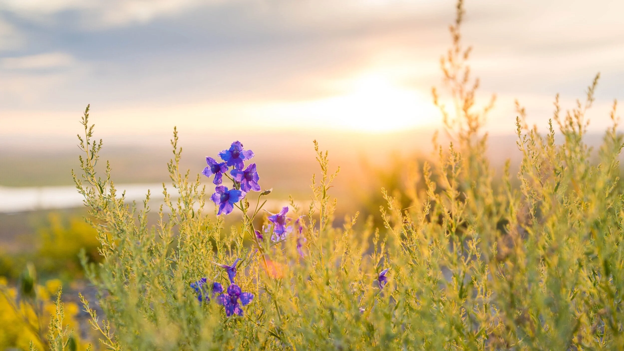 Fri, September 13th — Zen & The Art of Social Innovation No. 6