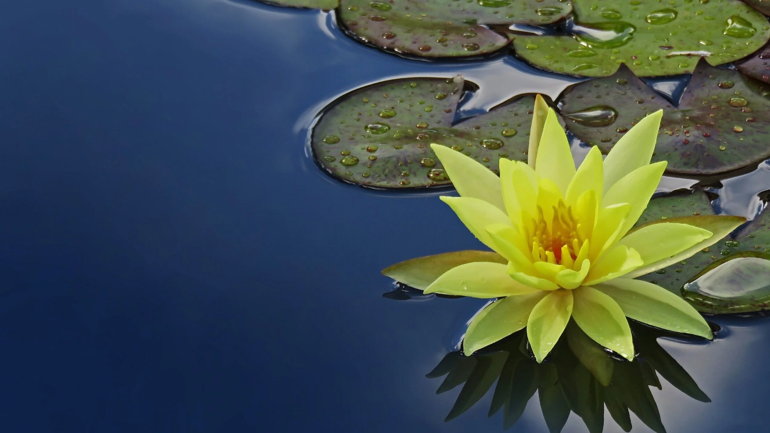 Fri, August 16th — Zen & The Art of Social Innovation No. 4