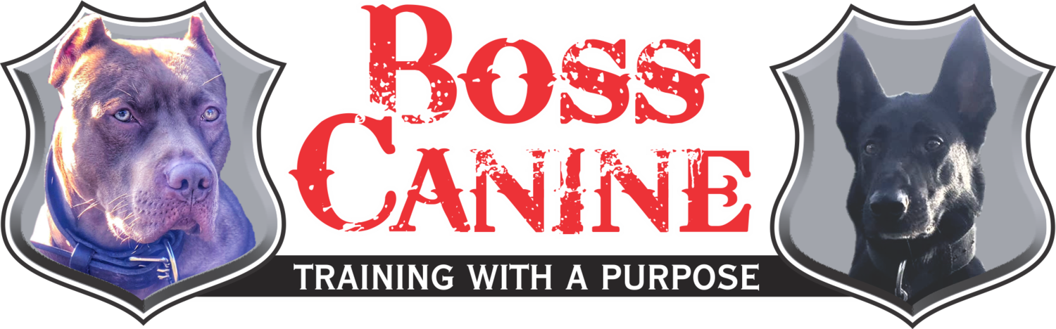 Boss Canine LLC