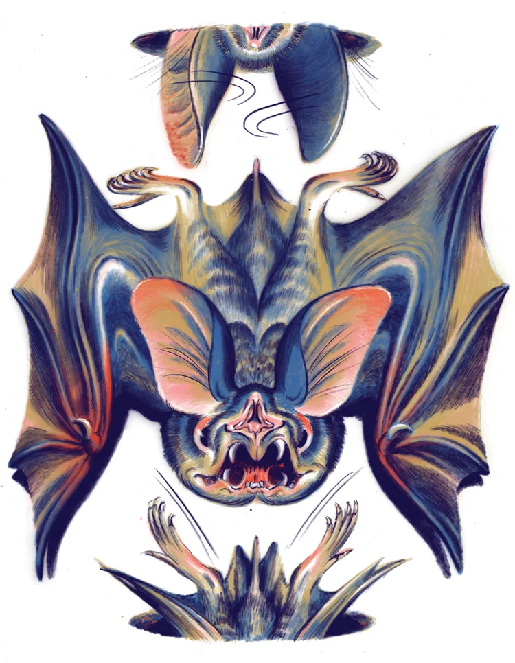  Chief Investment Officer Magazine.   