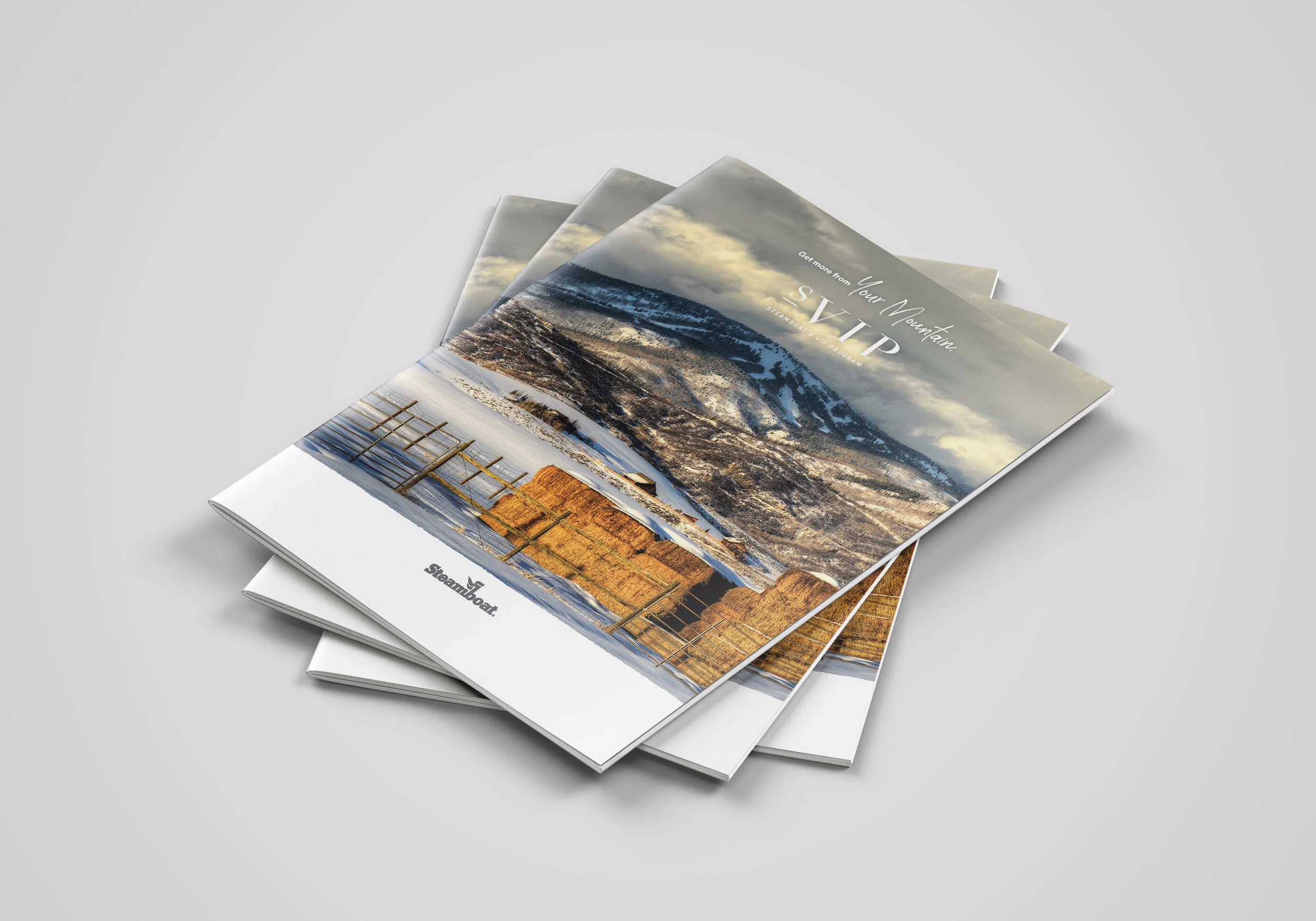 A4_Brochure_Mockup_2.jpg