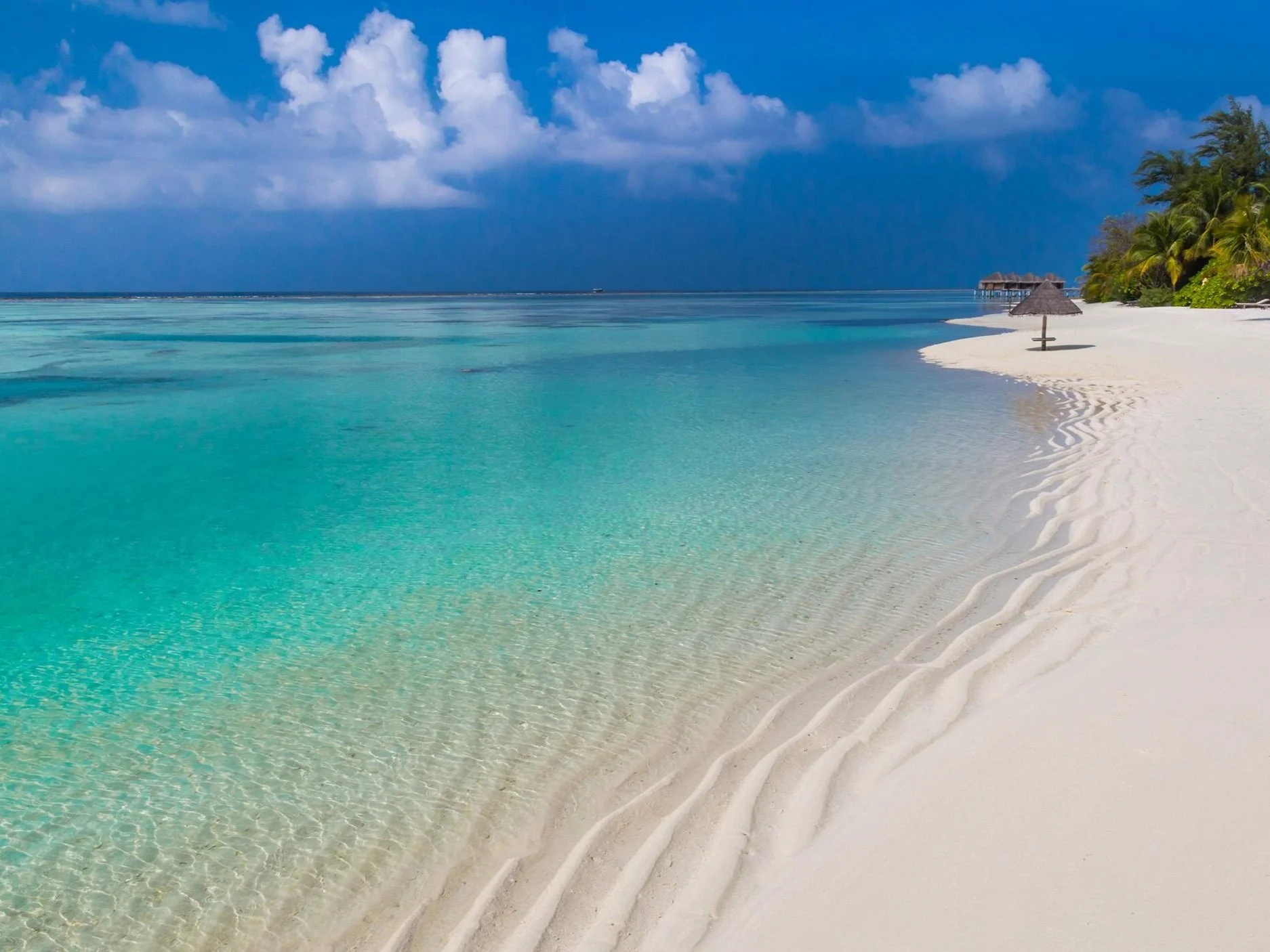 Rose + Penguin Clients: Secret Escapes