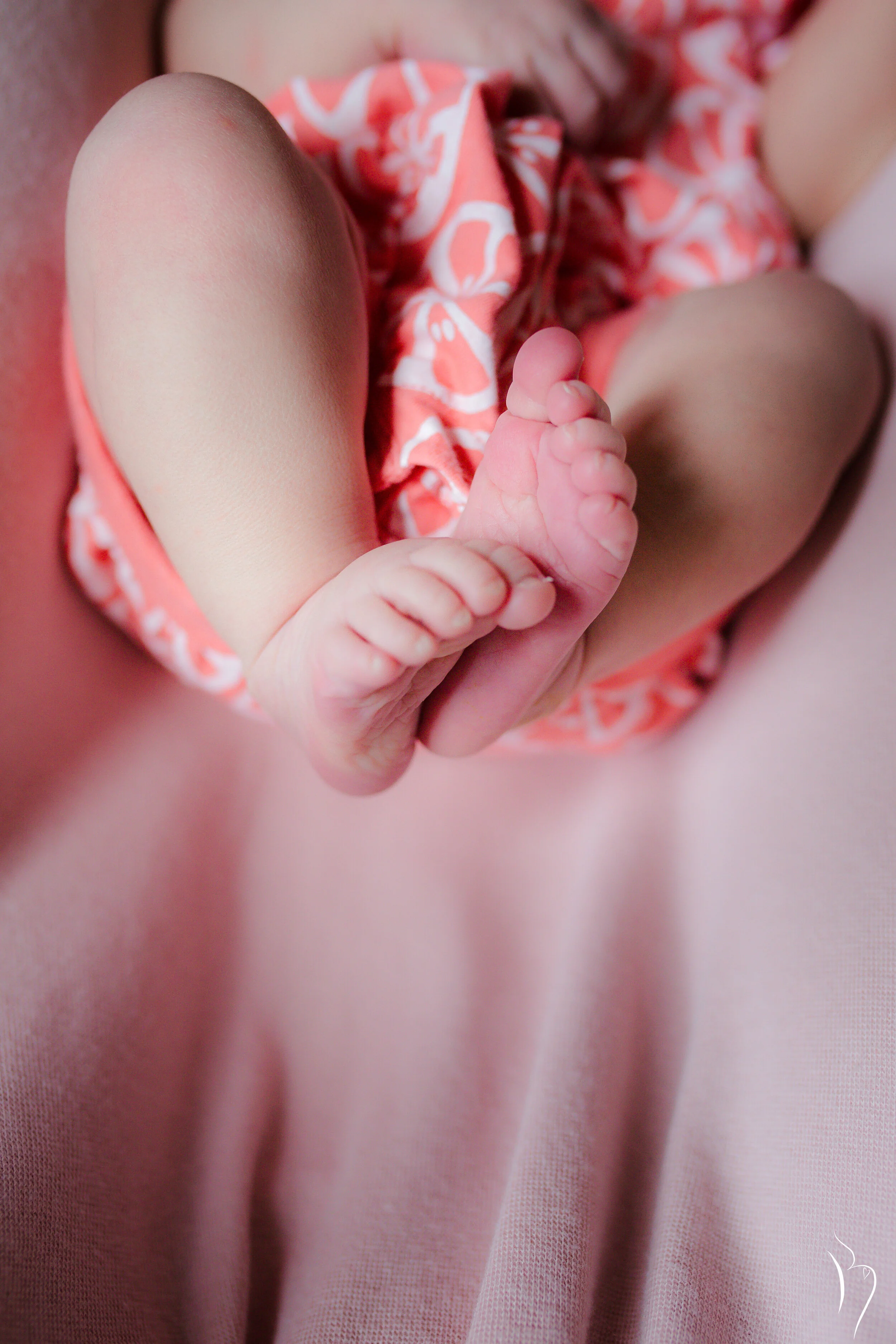  St. Louis maternity birth newborn photographer.  Provides maternity birth newborn photography services in the St. Louis metro area. 