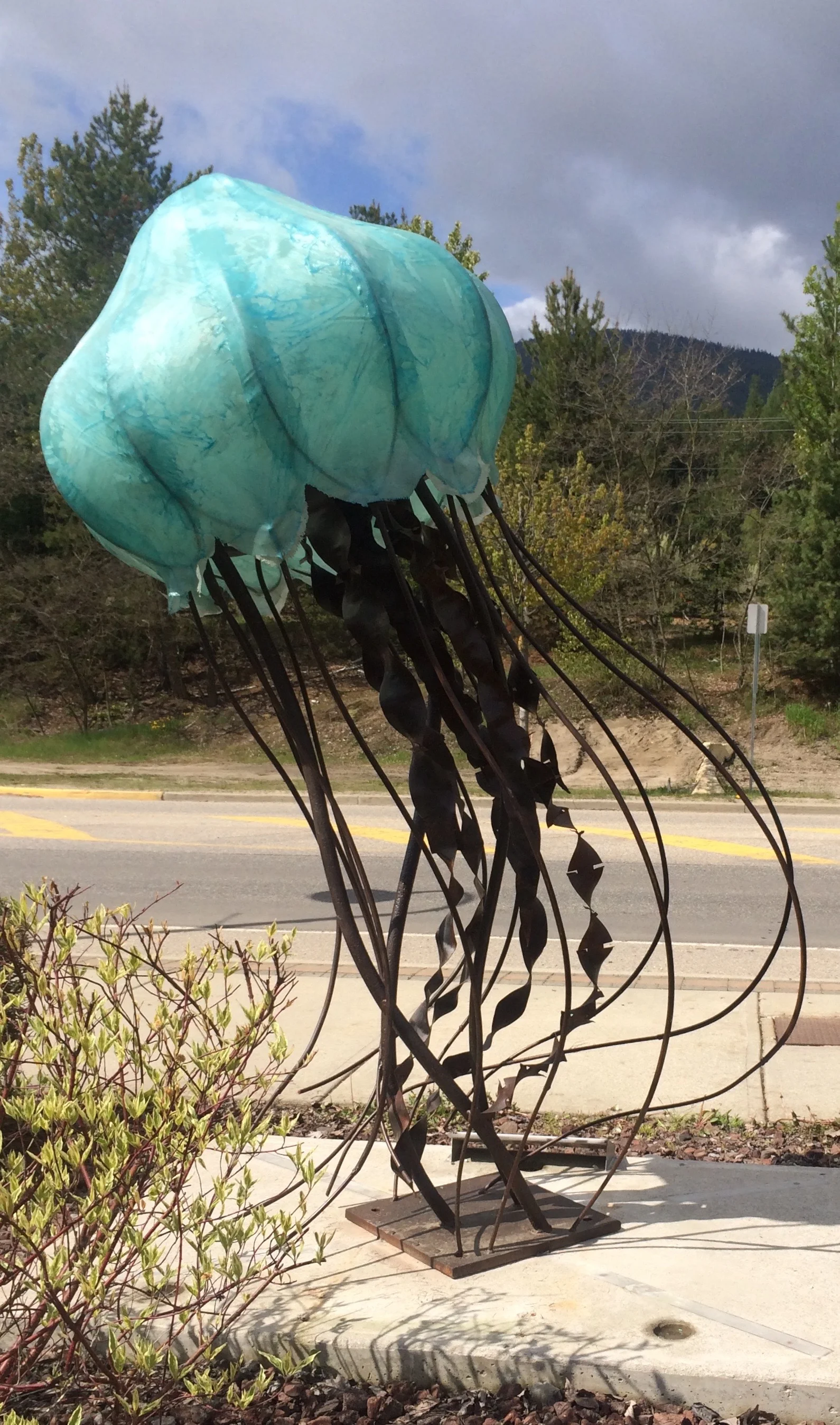 JELLY 2019 Oak Bay B.C.