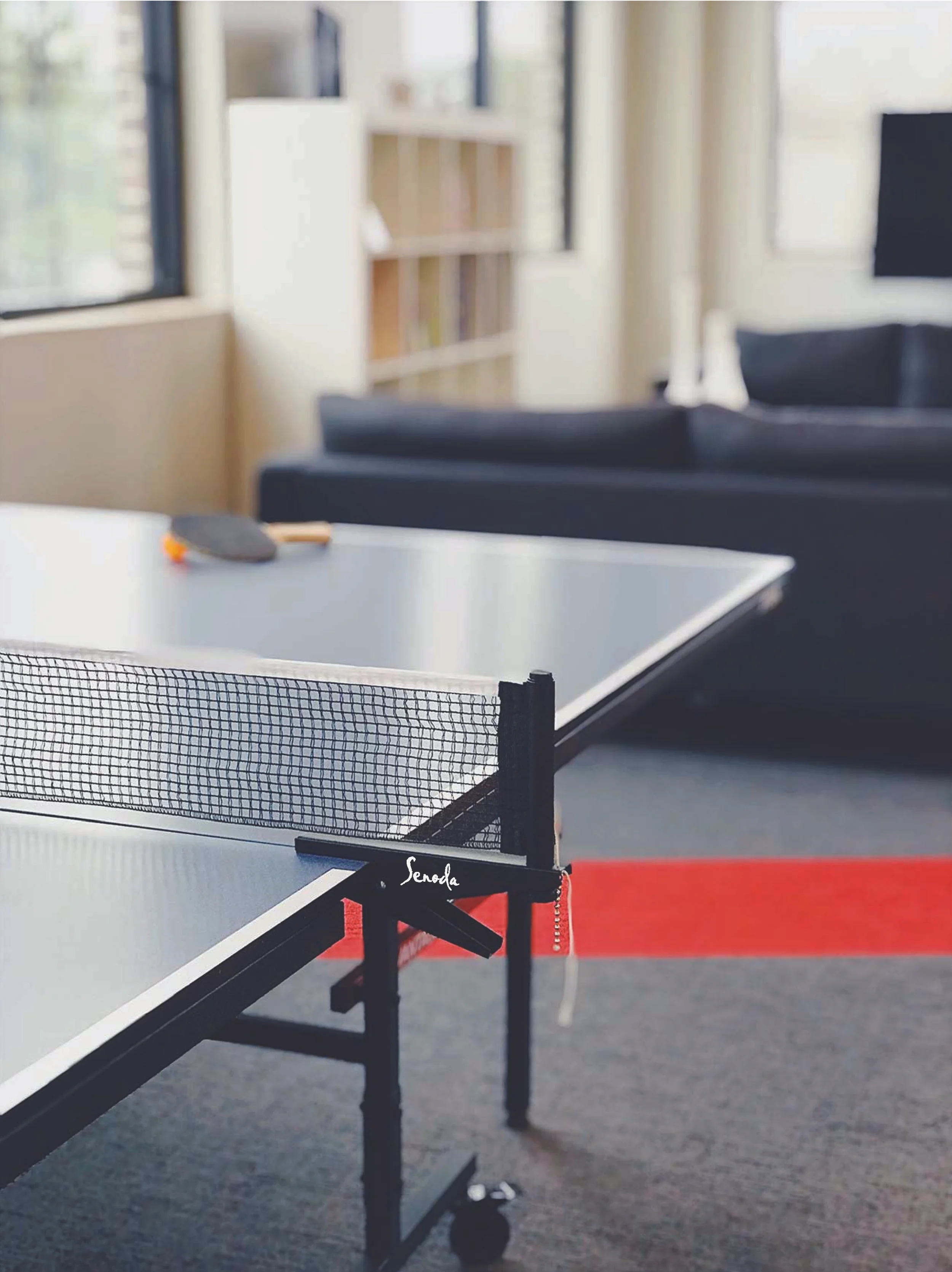 about-ping-pong-table_senoda.jpg