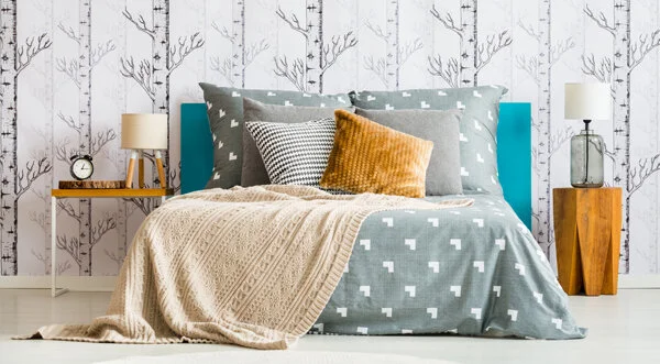 All the Comforts of Home