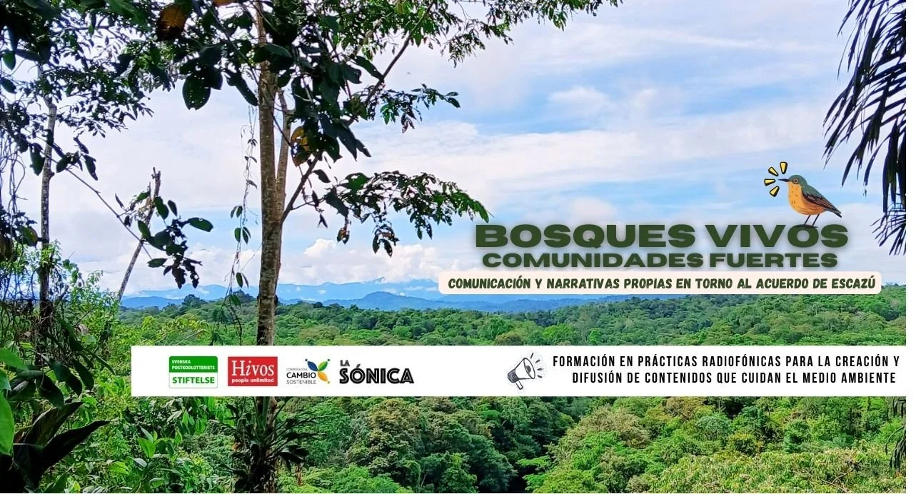 Pieza Gráfica Formación BoVi (2).jpg