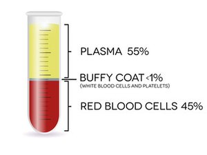 Fresh Healthy Human Donor Whole Blood Plasma Please Inquire For Pricing First Choice Bio Llc Primary Cell Research Productsfirst Choice Bio