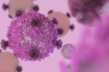 B cells 785.jpg