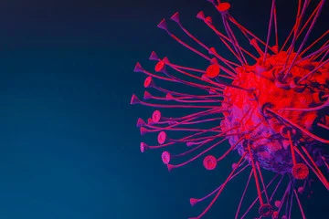 Pan T cells 817.jpg