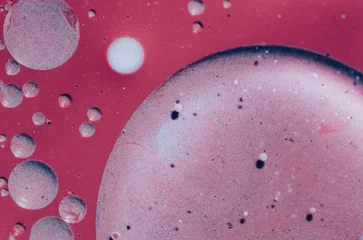 Mononuclear cells 812.jpg