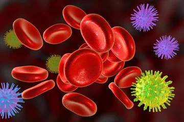 Research 437 Hep C.jpg