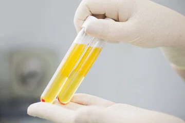 Research 304.jpg