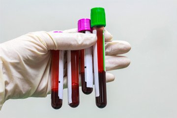 Research 210.jpg
