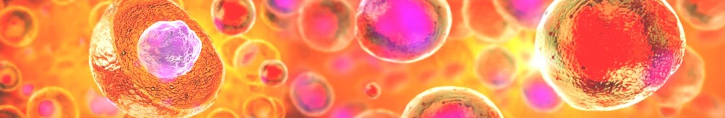 Primary+Cells+Bay+Area.jpg
