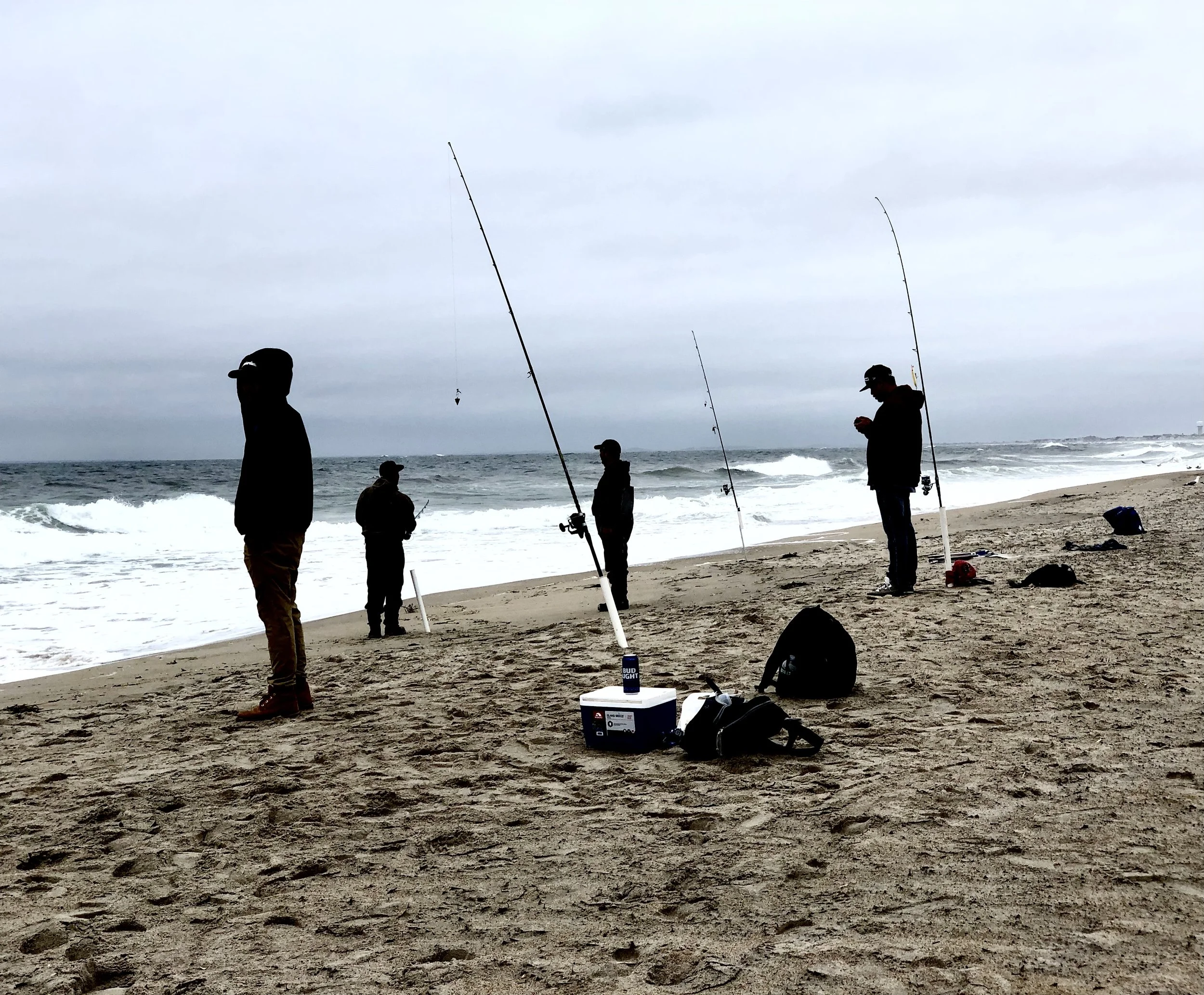 IMG_0083.jpeg