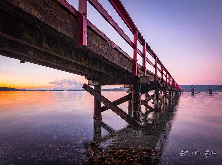 Fernwood Dock by Bruce McPhee
