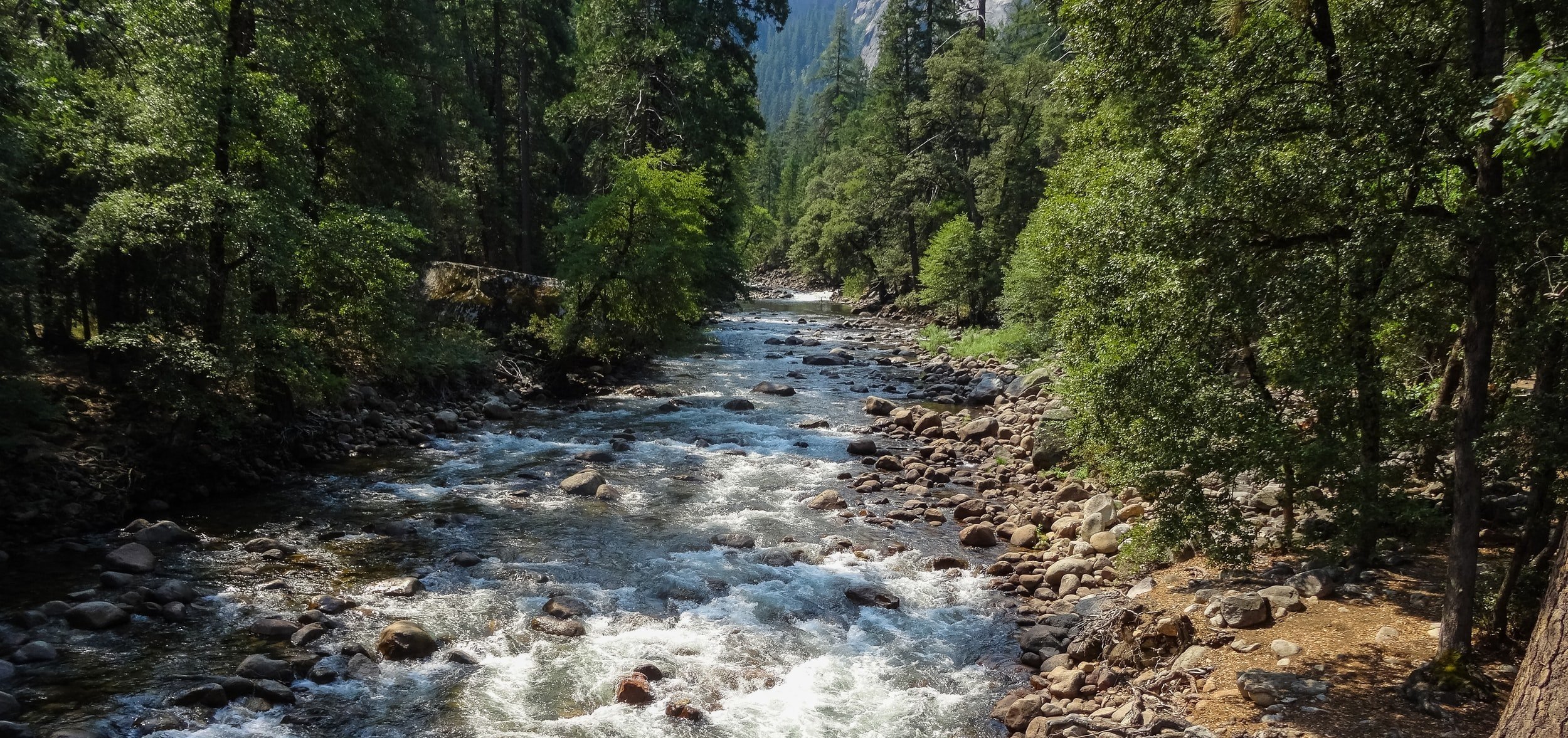 unsplash-image-OVZ4tM3gl4Q.jpg