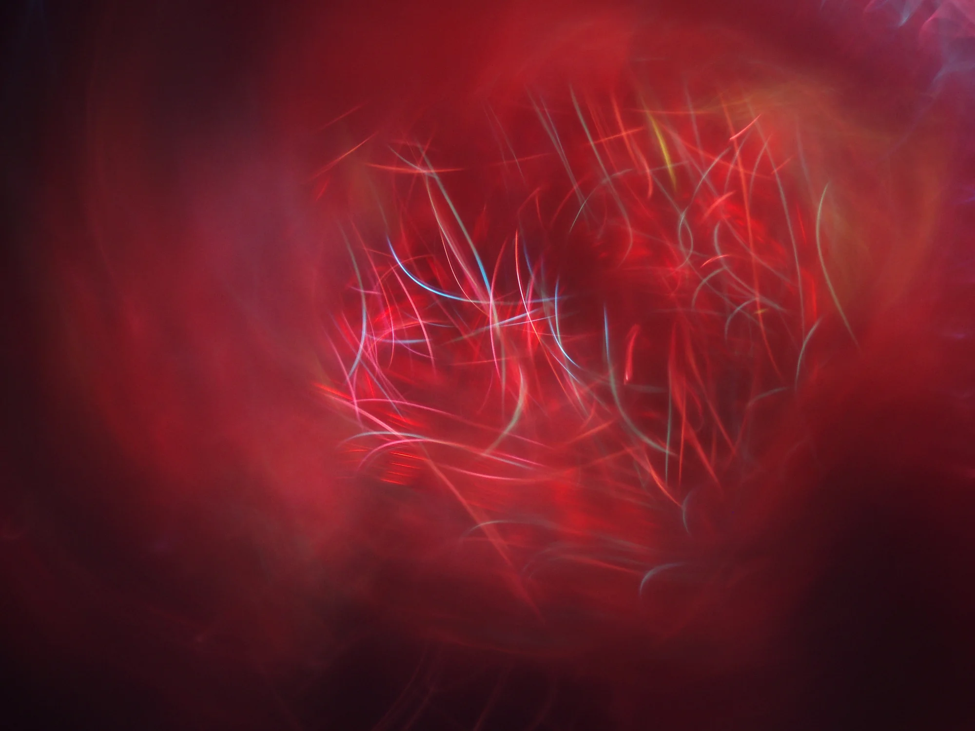 FOABS TRACTOS (untitled), digital photograph (un-enhanced), 2004