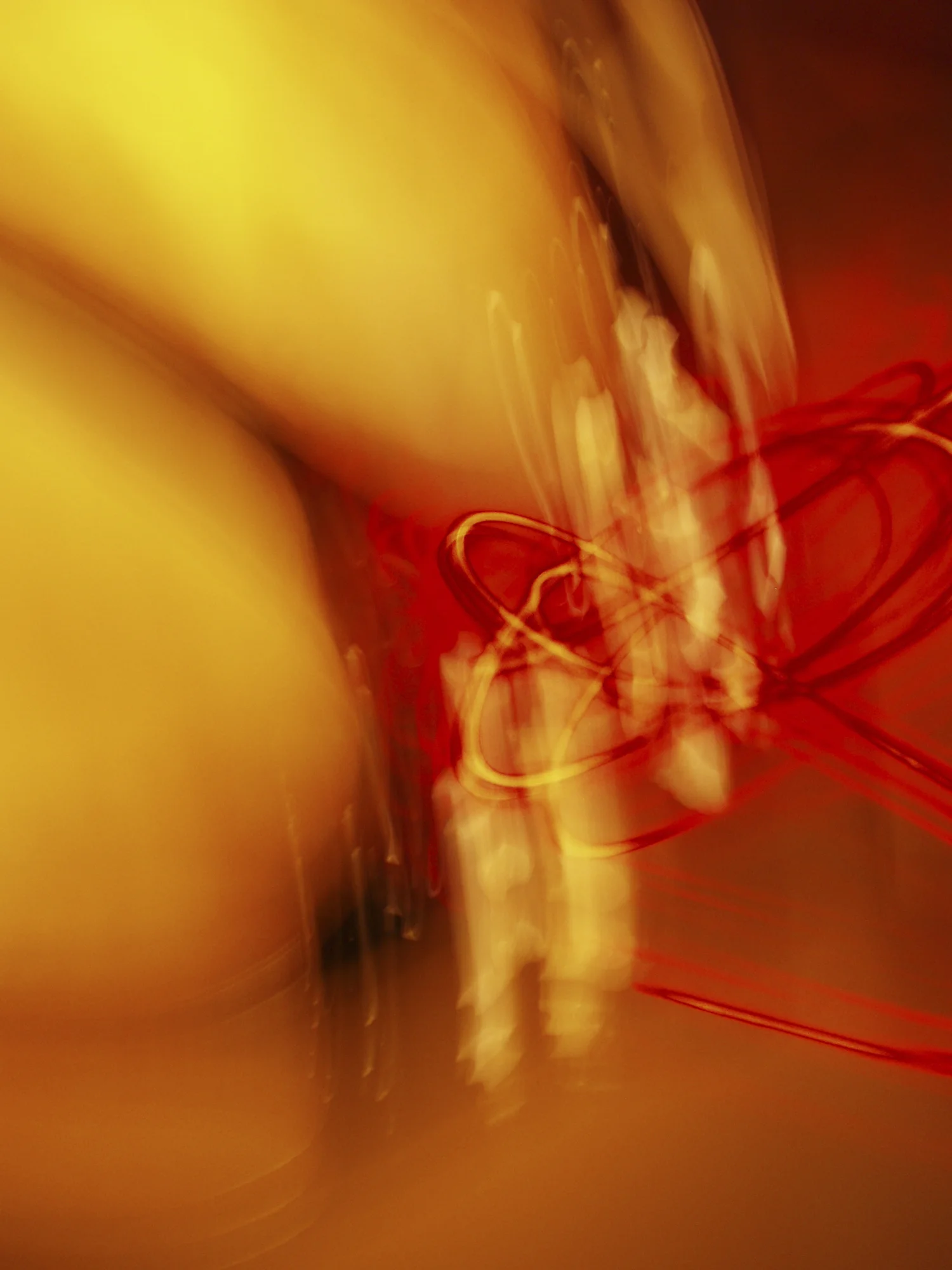 FOABS TRACTOS (untitled), digital photograph (un-enhanced), 2004