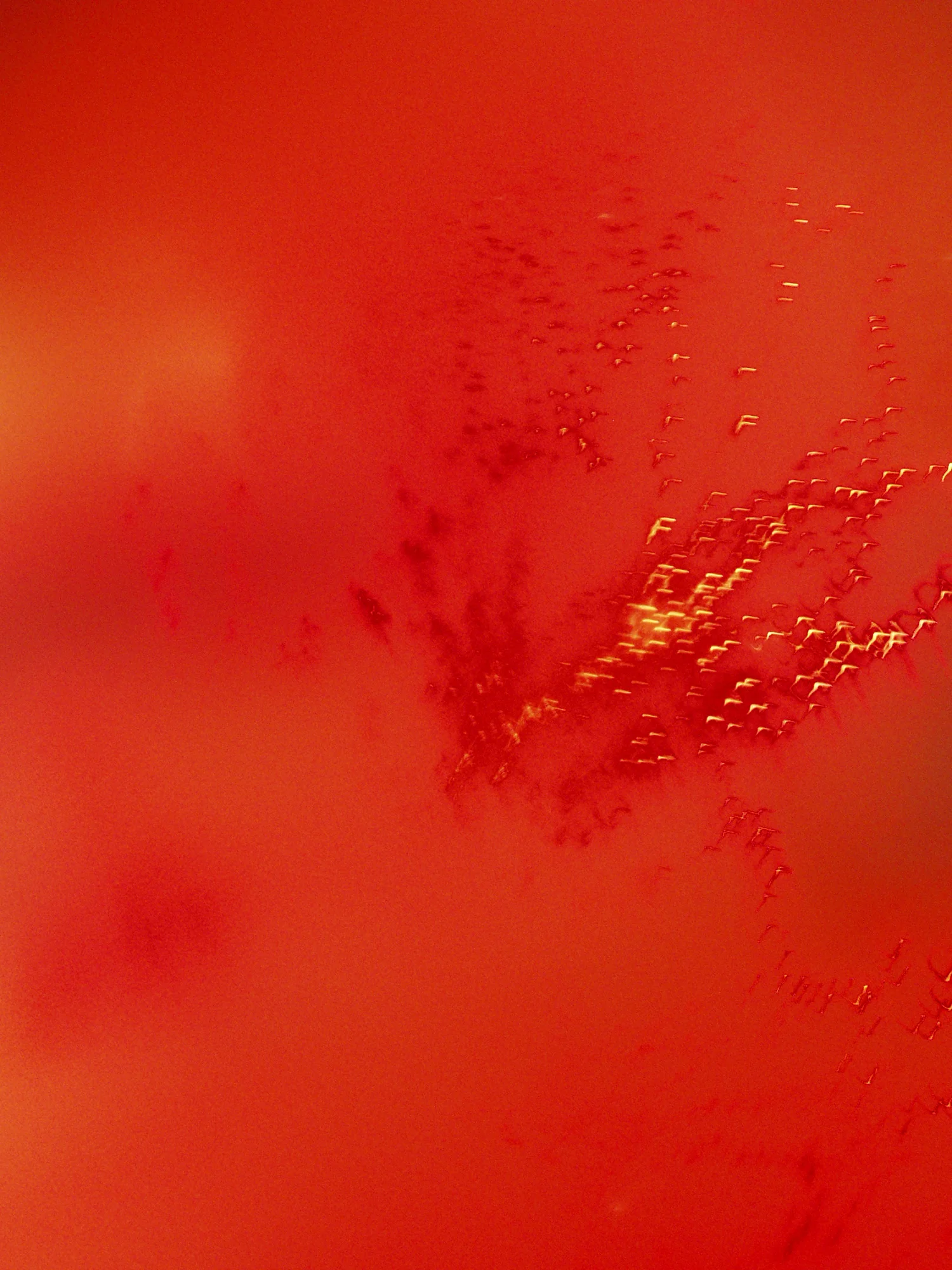 FOABS TRACTOS (untitled), digital photograph (un-enhanced), 2004
