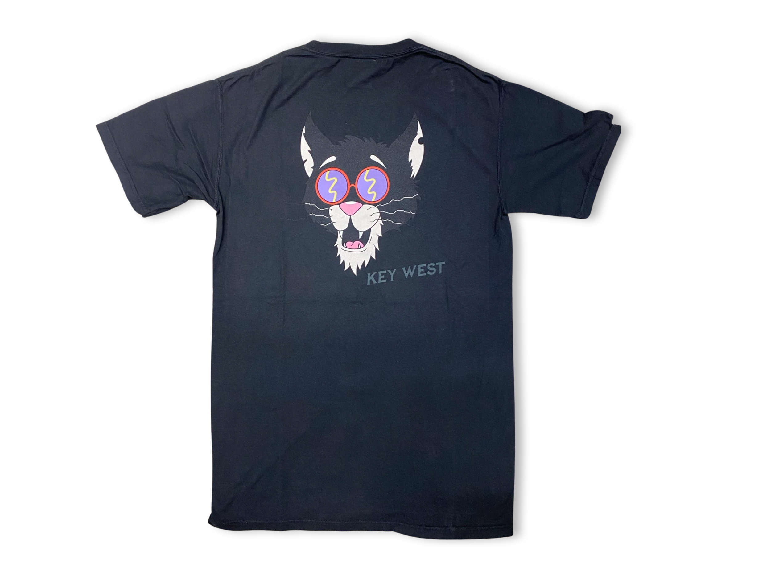 A2E9DBF5-4B80-434A-9D25-BB6D0FC4FDE2