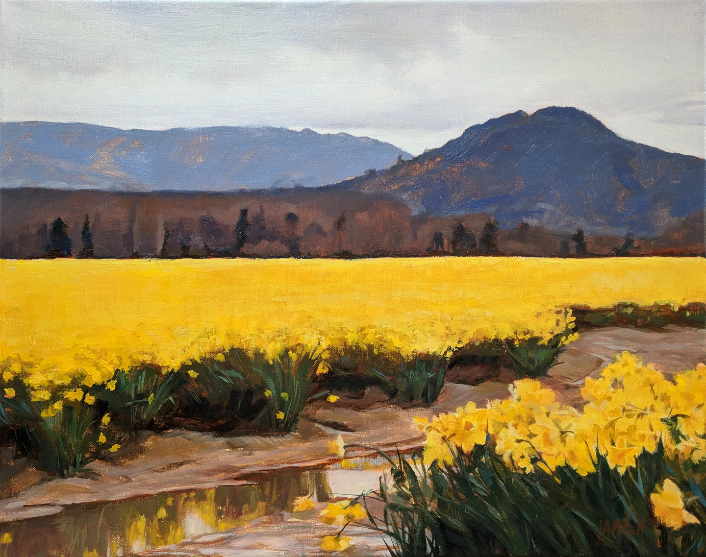 Little Mountain Sunshine.LR.jpg