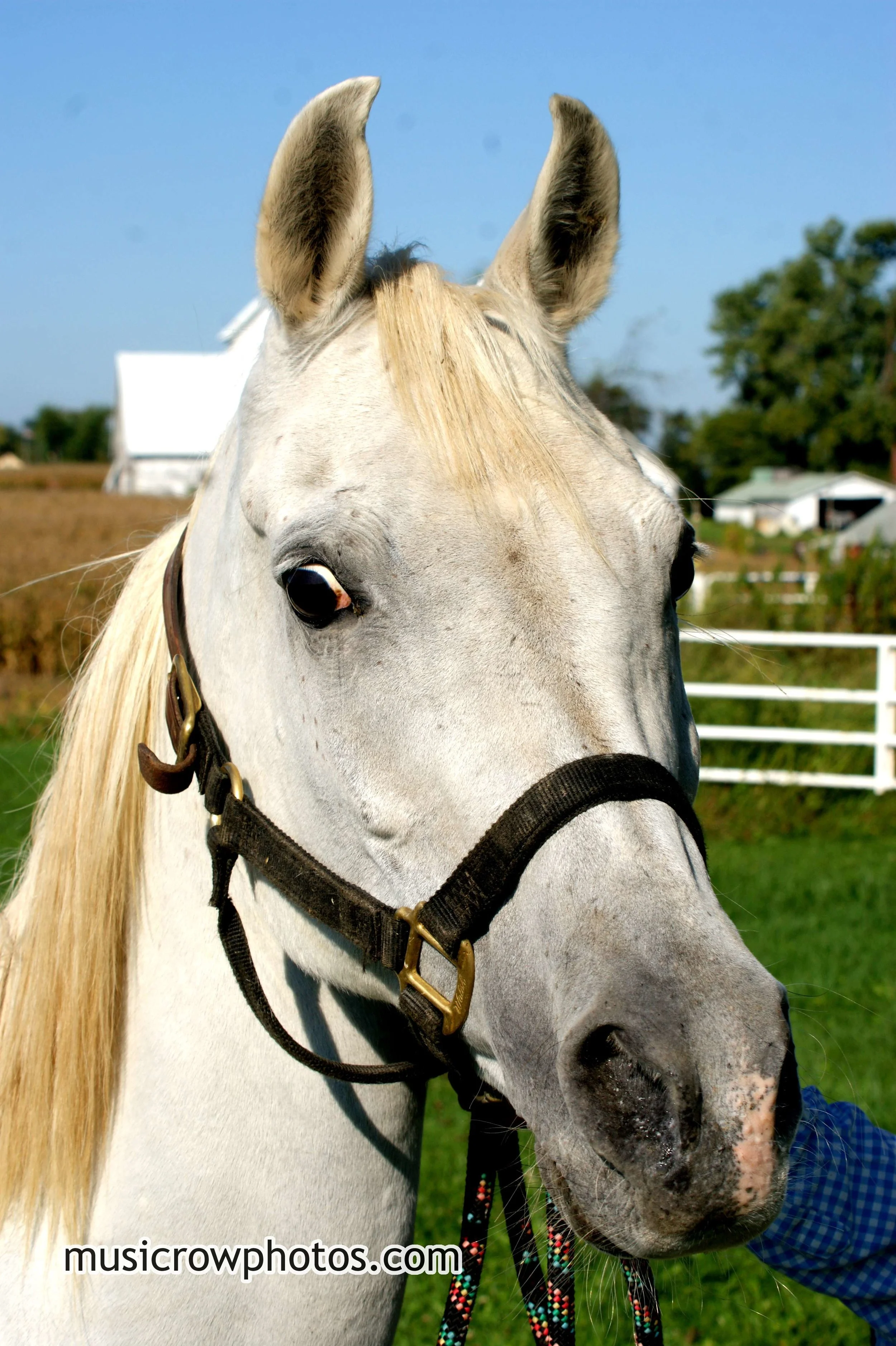DSC00040wtmk.JPG
