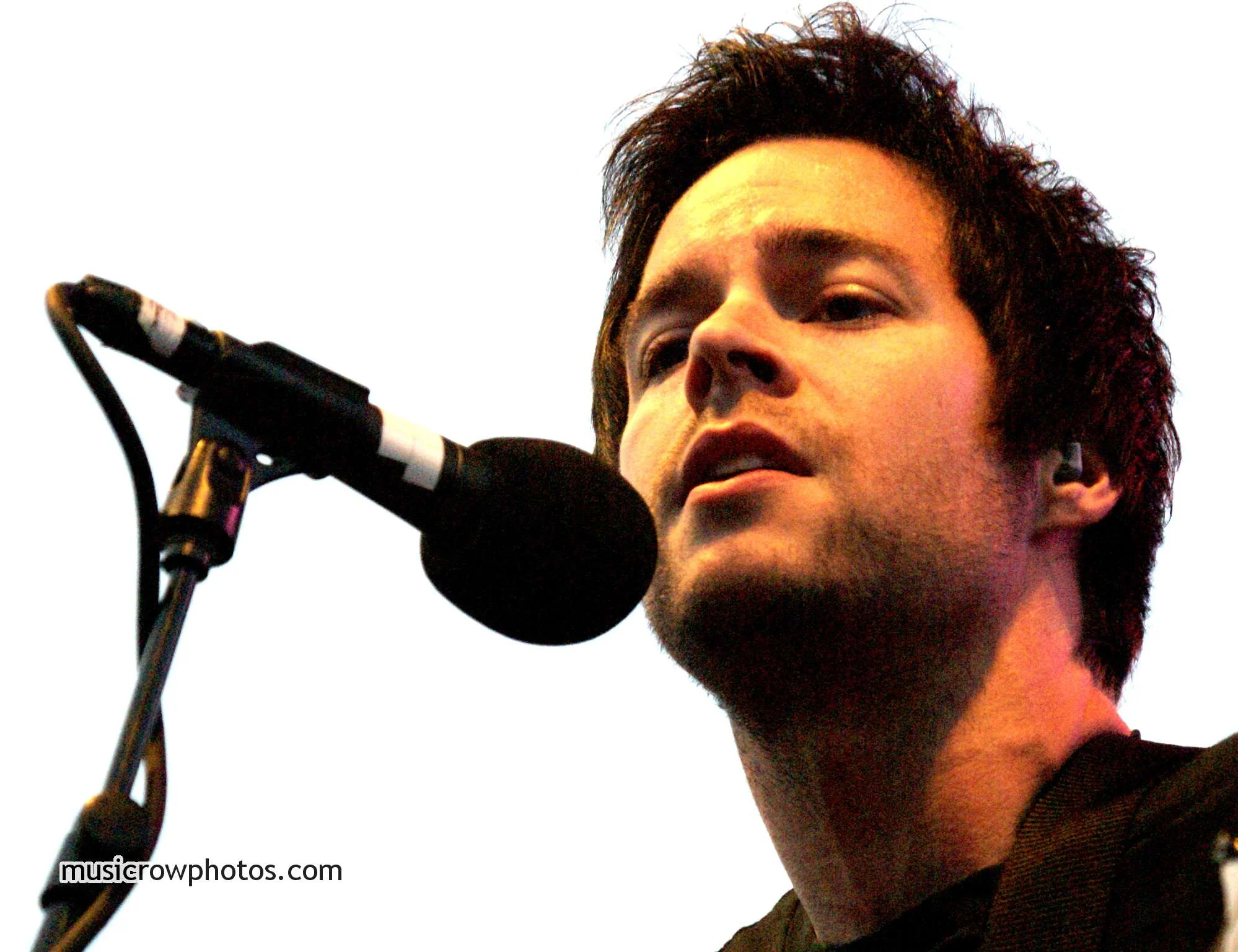 New Gallery Added- Concert Photography- Buzz Fest