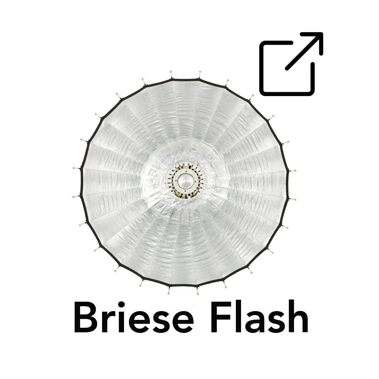 briese_flash_link.jpg