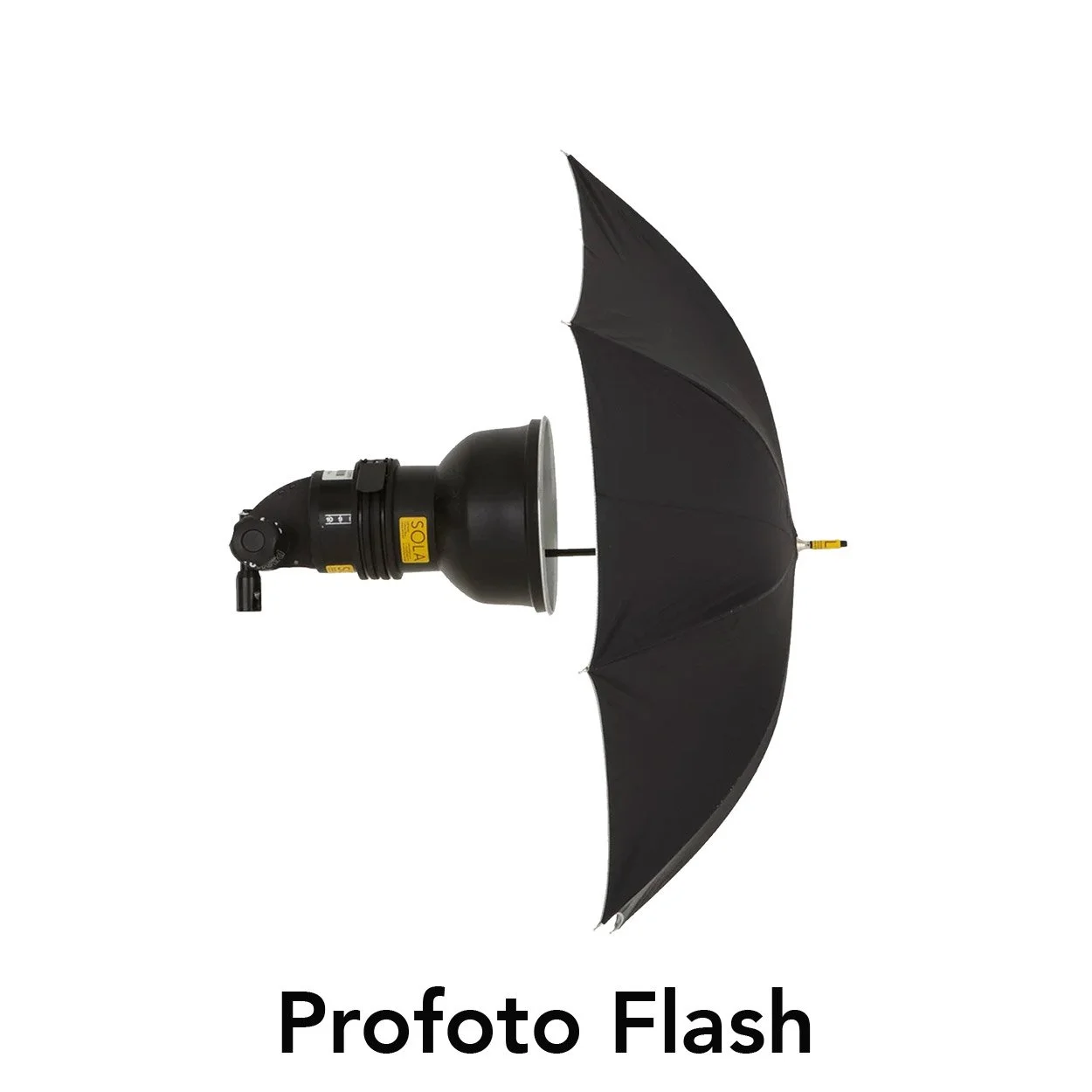 profoto_flash.jpg