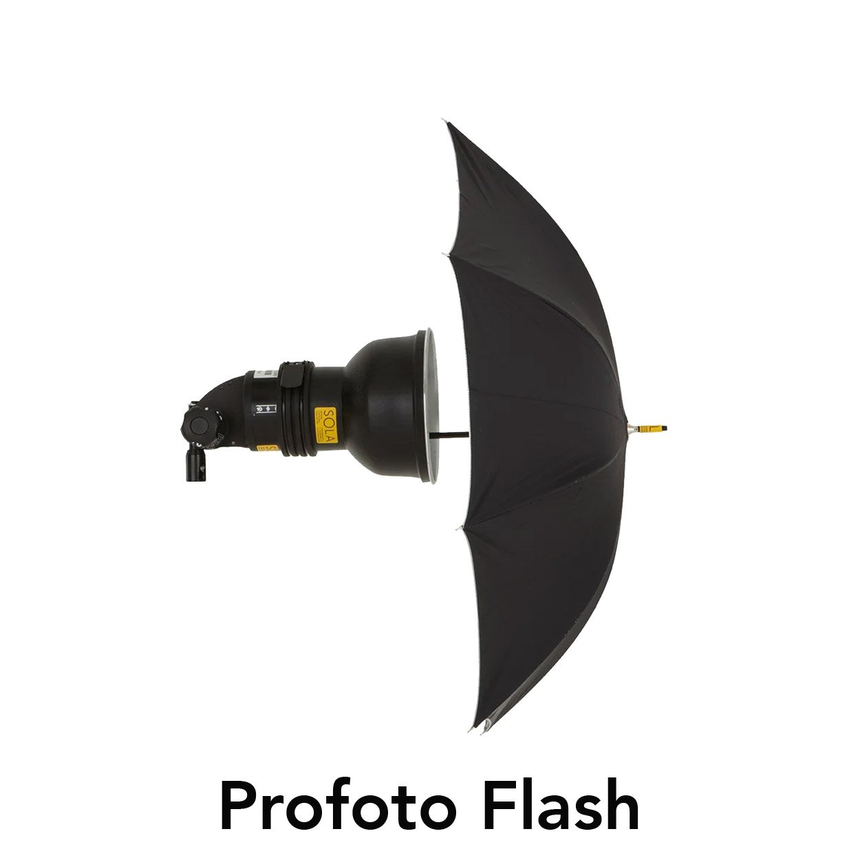 profoto_flash.jpg