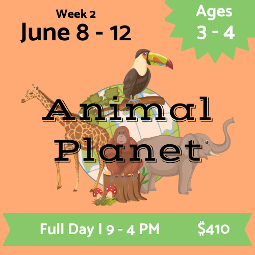 Playcrafter Kids Summer Camp 2026; Fort Collins CO Performing Arts