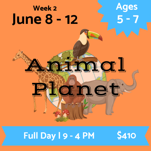 Playcrafter Kids Summer Camp 2026; Fort Collins CO Performing Arts