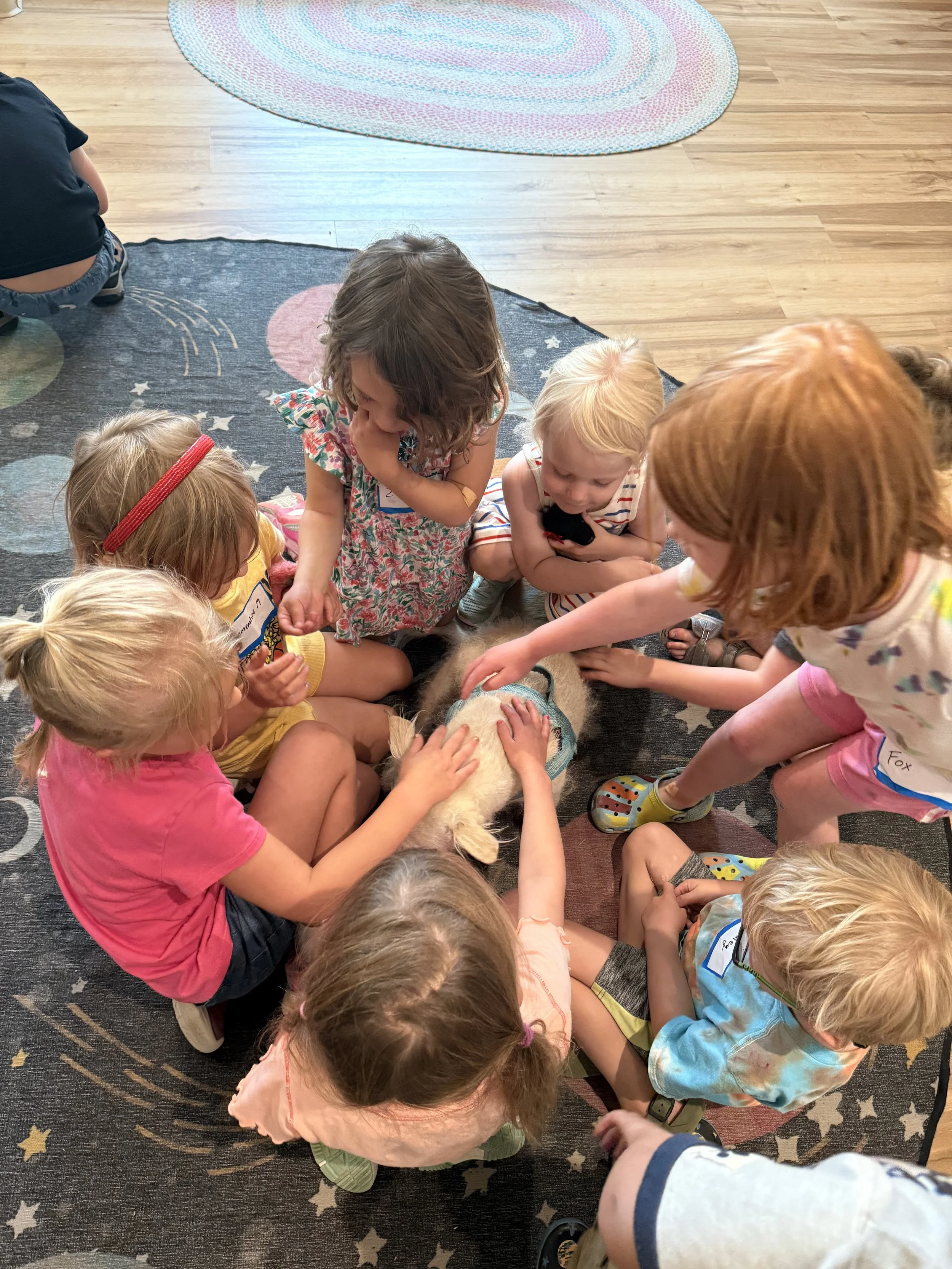 Children gathered around and petting a small dog on a colorful carpet.