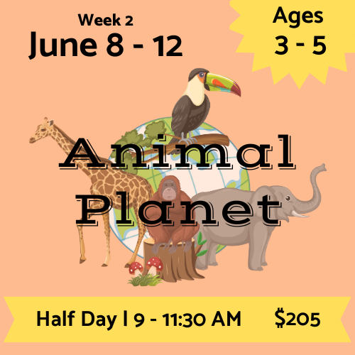 Playcrafter Kids Summer Camp 2026; Fort Collins CO Performing Arts